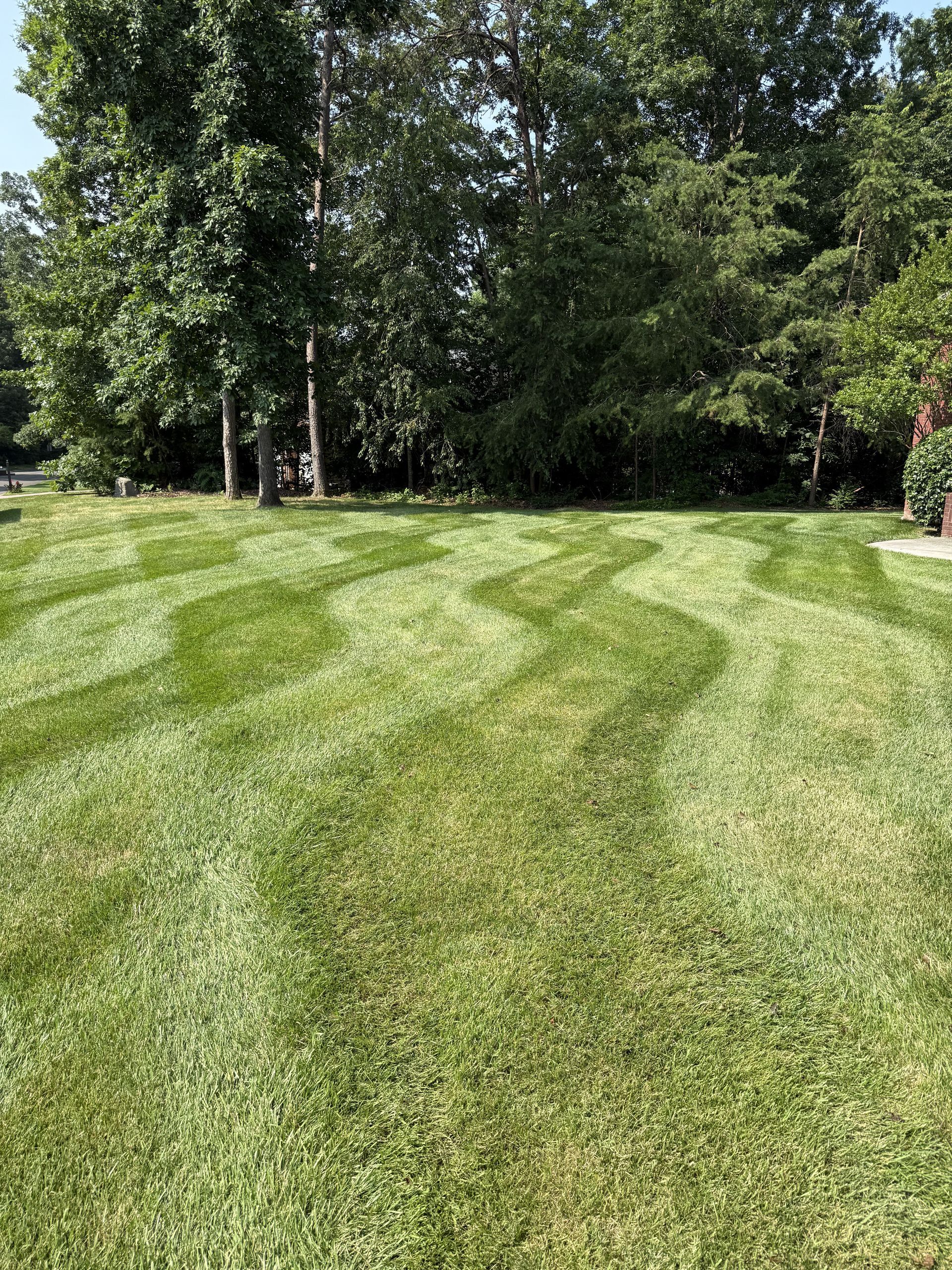 Professional lawn mowing service in Cleveland TN
