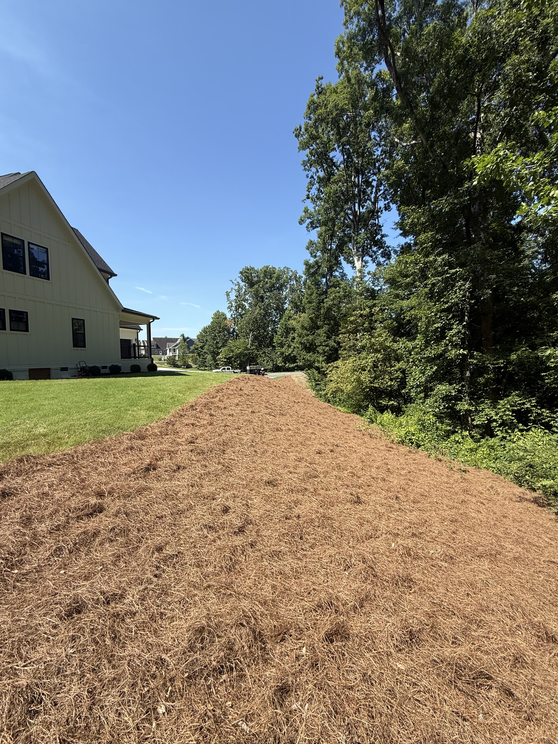 Residential pine straw landscaping near Cleveland TN