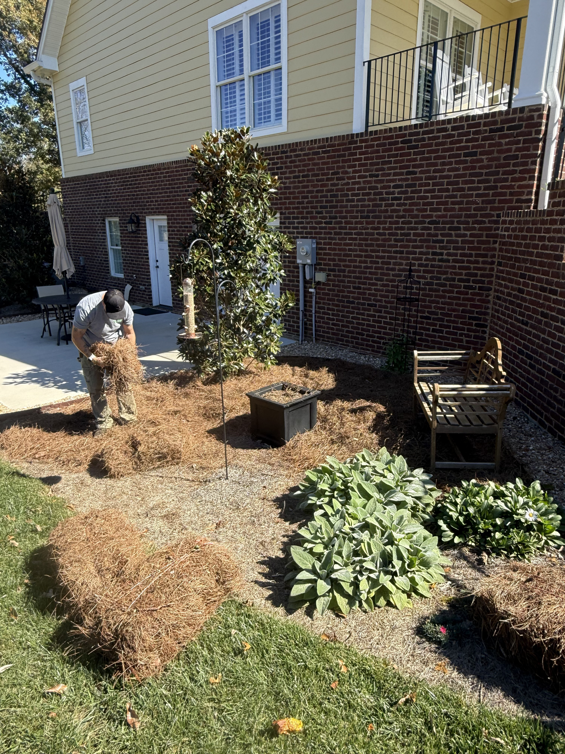 Pine straw installation in Cleveland and surrounding areas of Tennessee