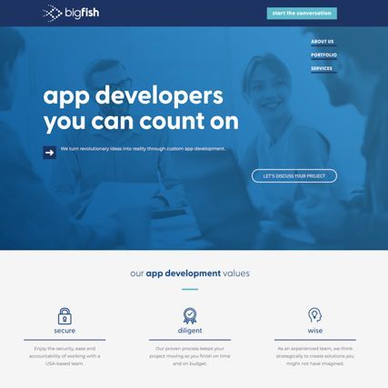 Tech Company Web Development Screenshot