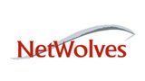 Netwolves Logo — Canton, GA — ITransit Solutions