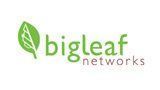 Bigleaf Logo — Canton, GA — ITransit Solutions