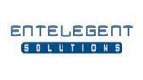 Entelegent Solutions Logo — Canton, GA — ITransit Solutions