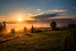 The sun is setting over a foggy field with trees in the foreground.