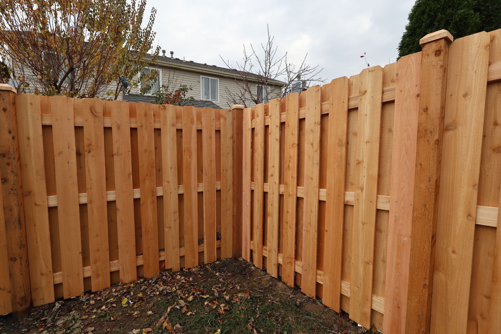 cedar fence installation Illinois