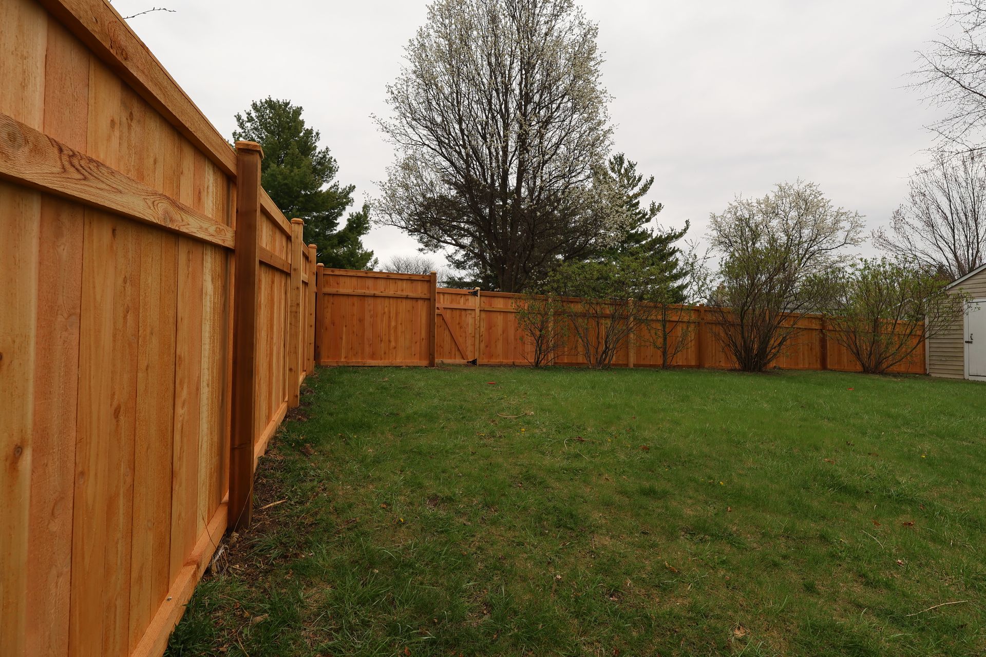 cedar fence installation Illinois