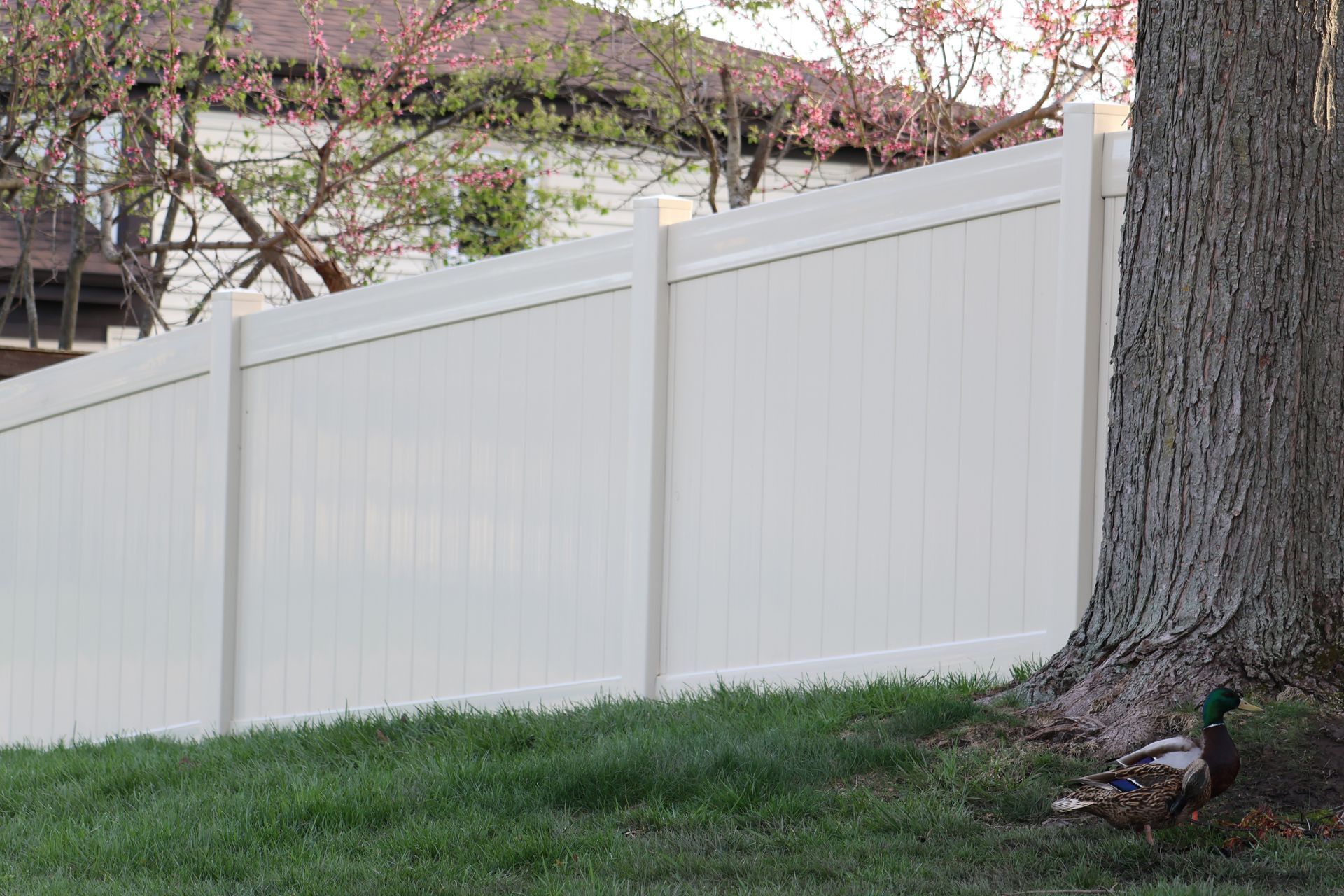 vinyl fence installation Illinois