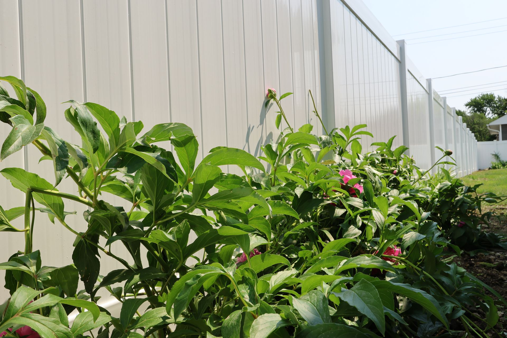 vinyl fence installation Illinois