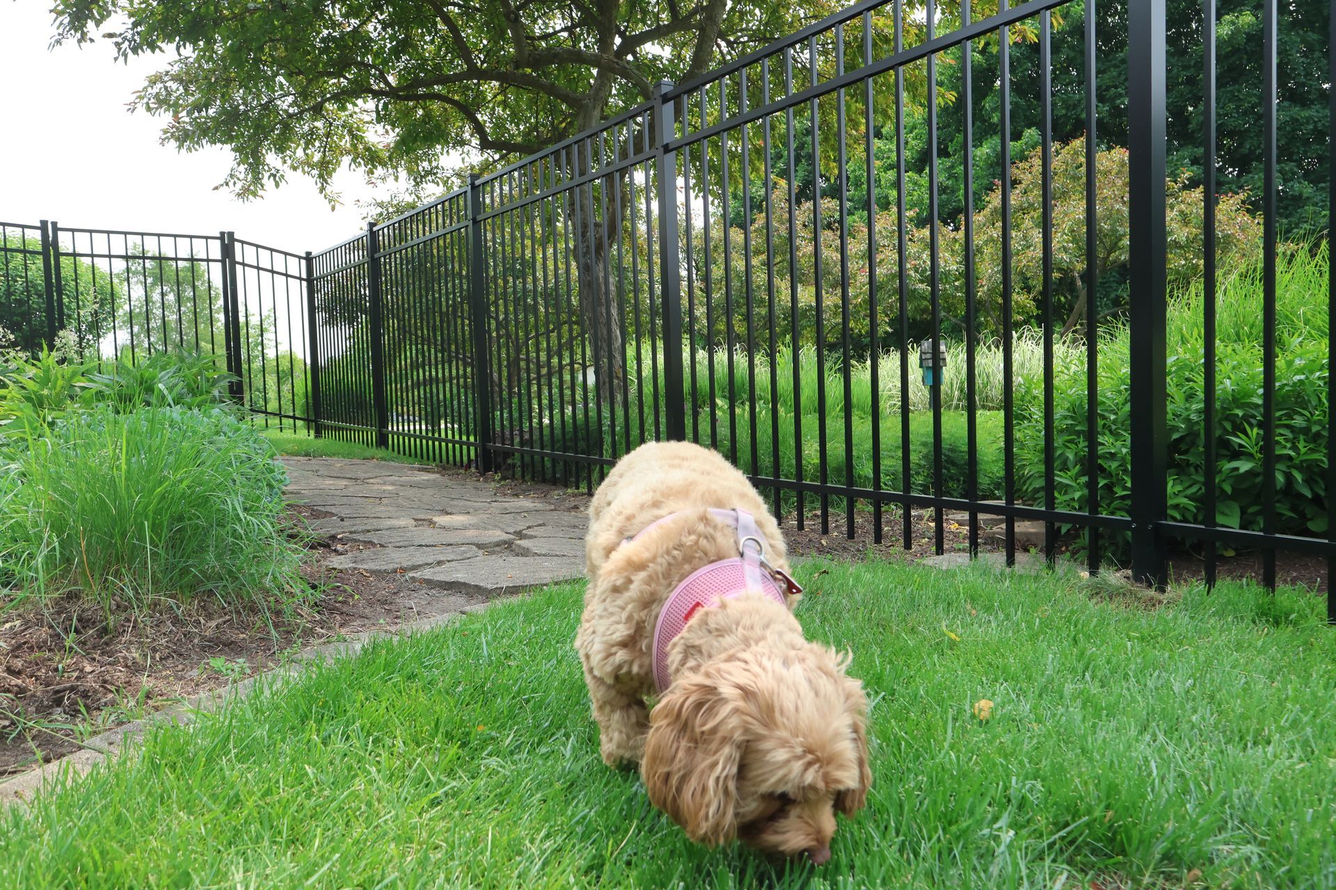 aluminum fence installation Illinois