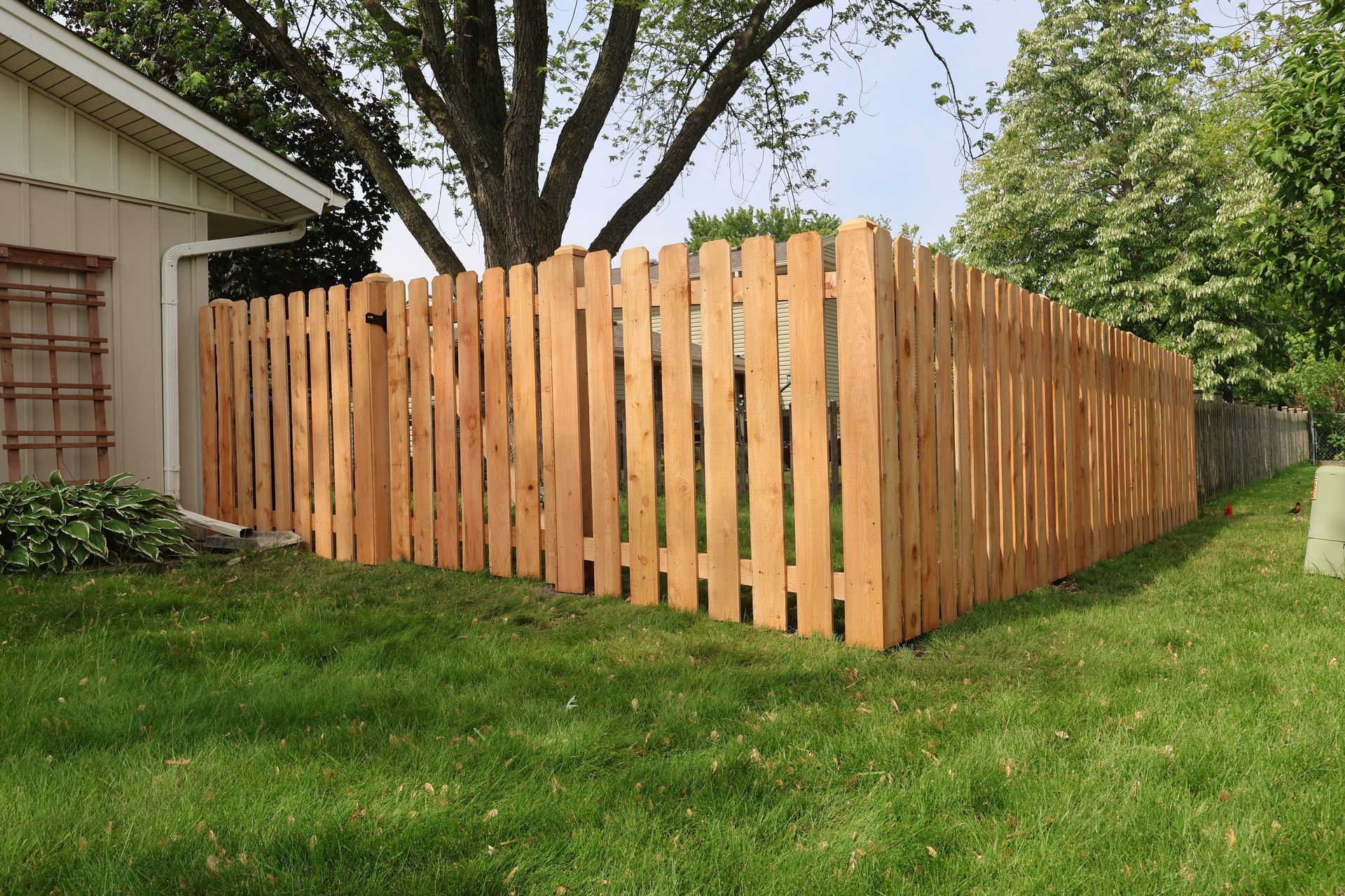 cedar fence installation Illinois