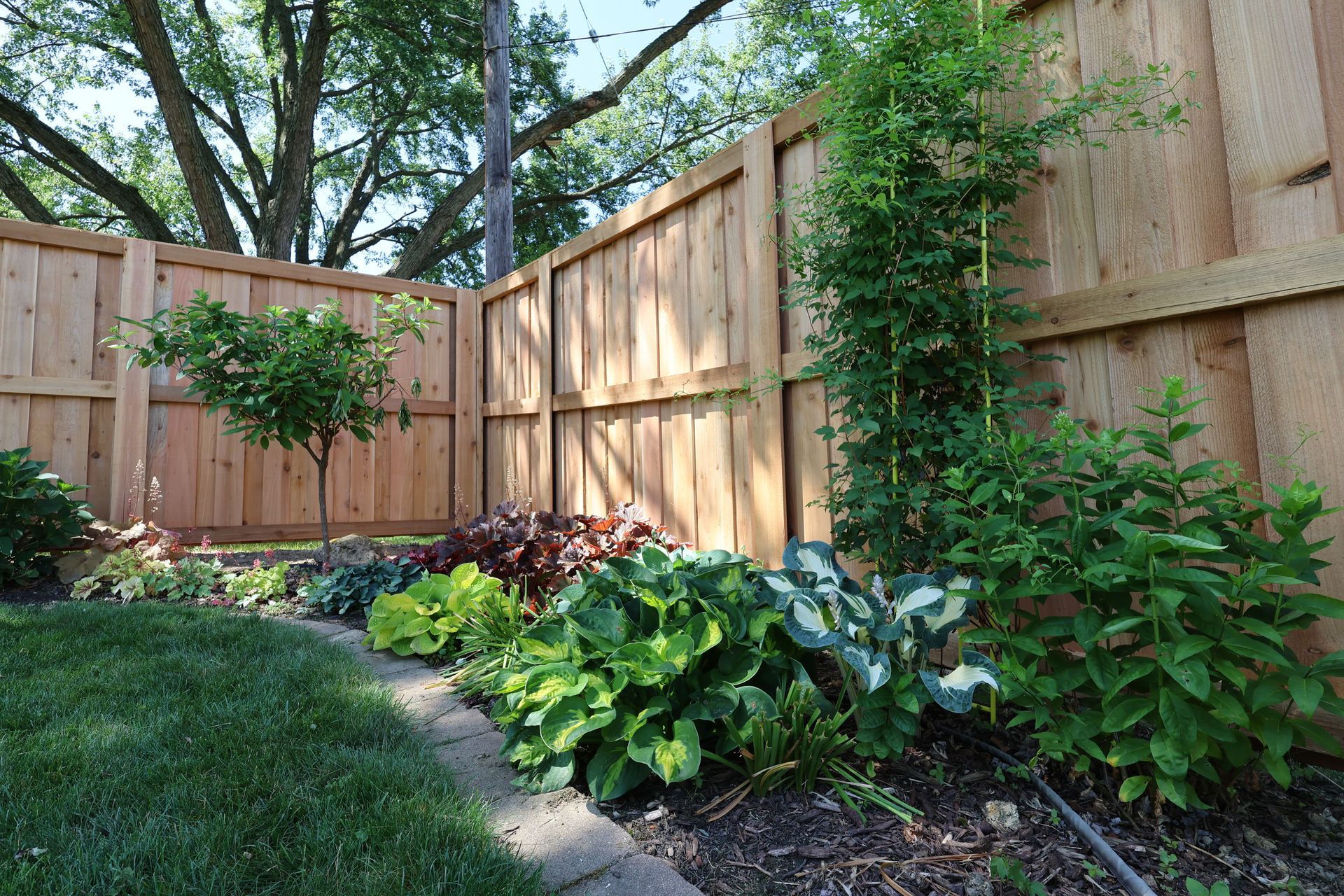 cedar fence installation Illinois