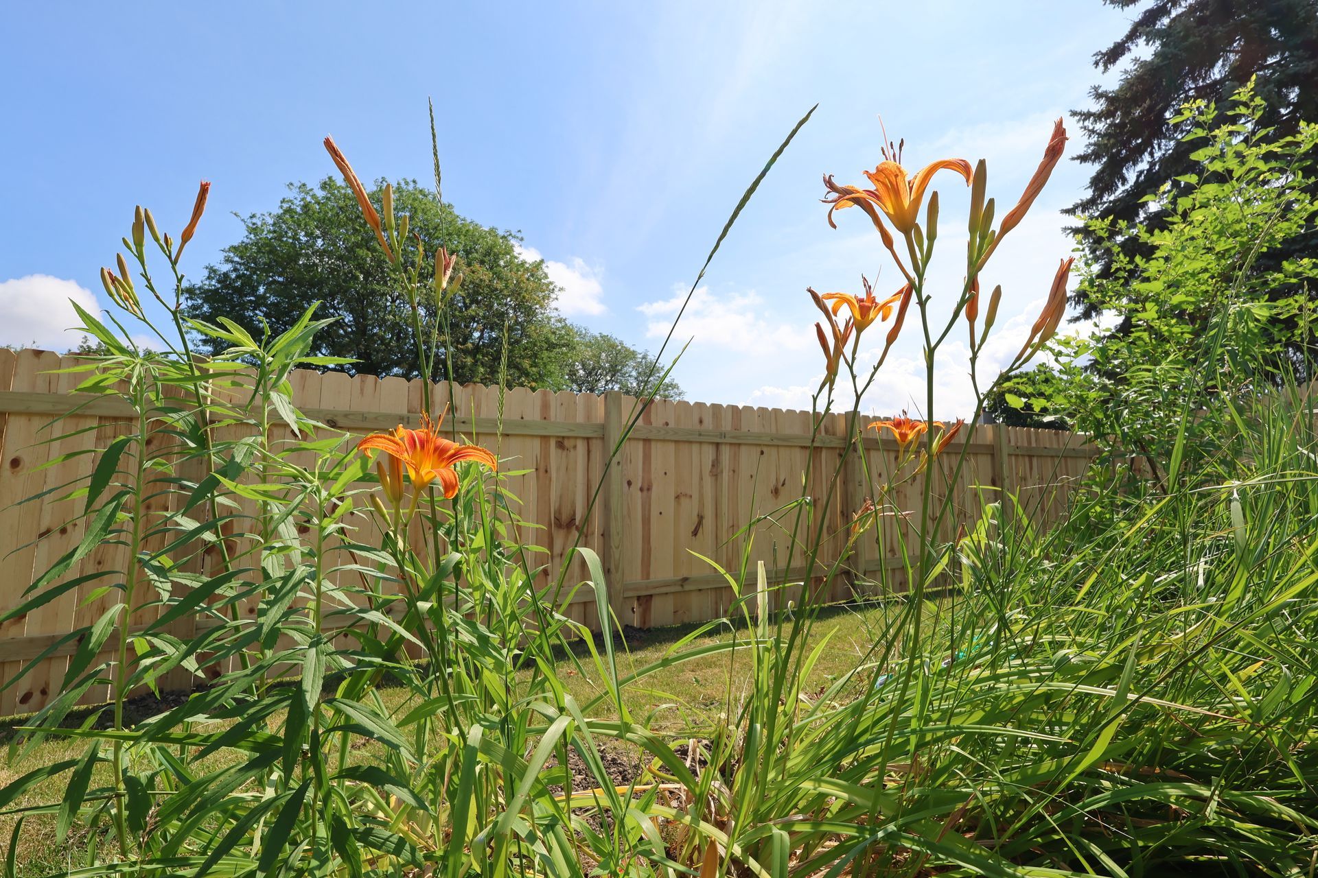 wood fence installation Illinois pressure treated pine shadowbox fencing