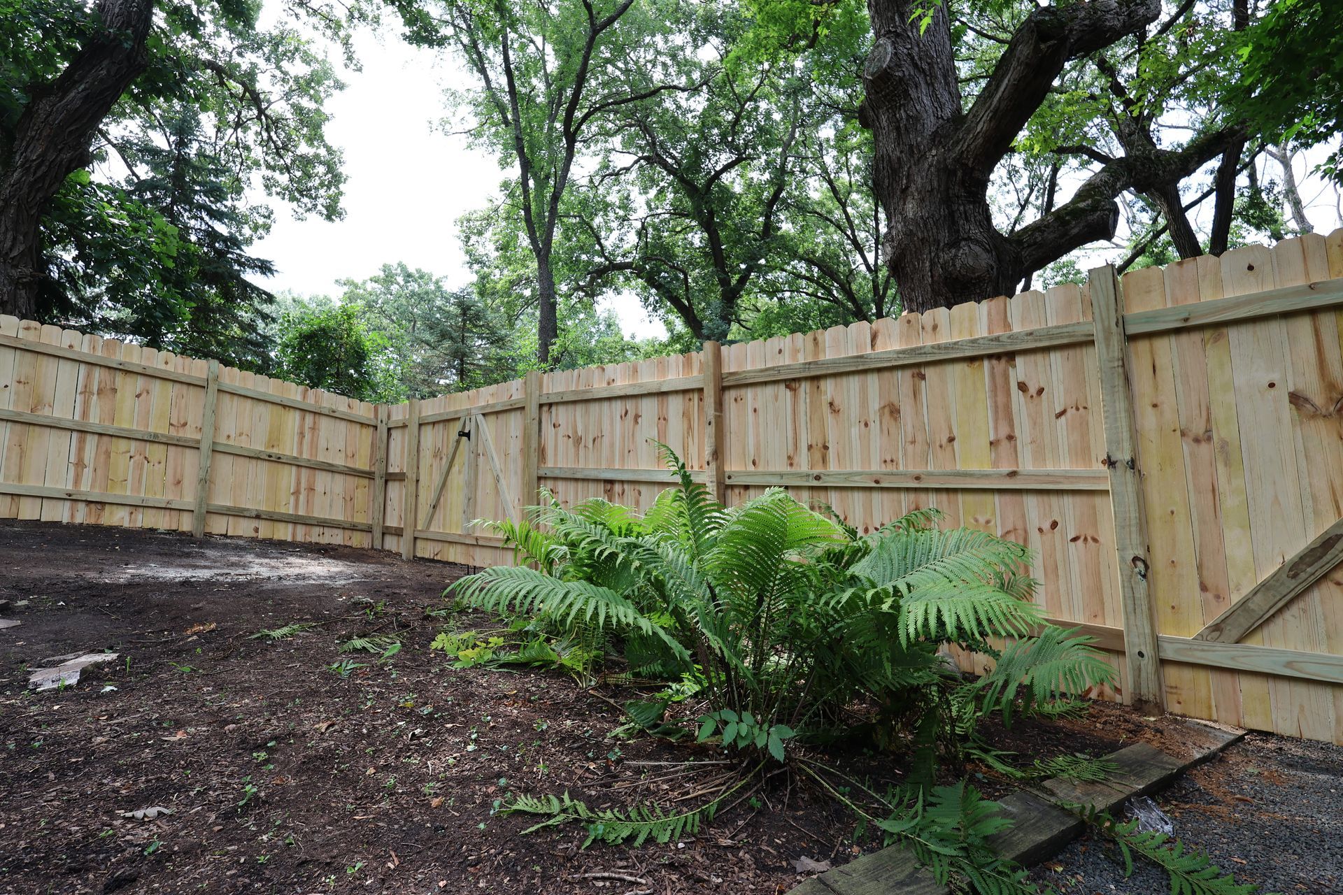 treatedtreated pine fence installation Illinoispine fence installation Illinois