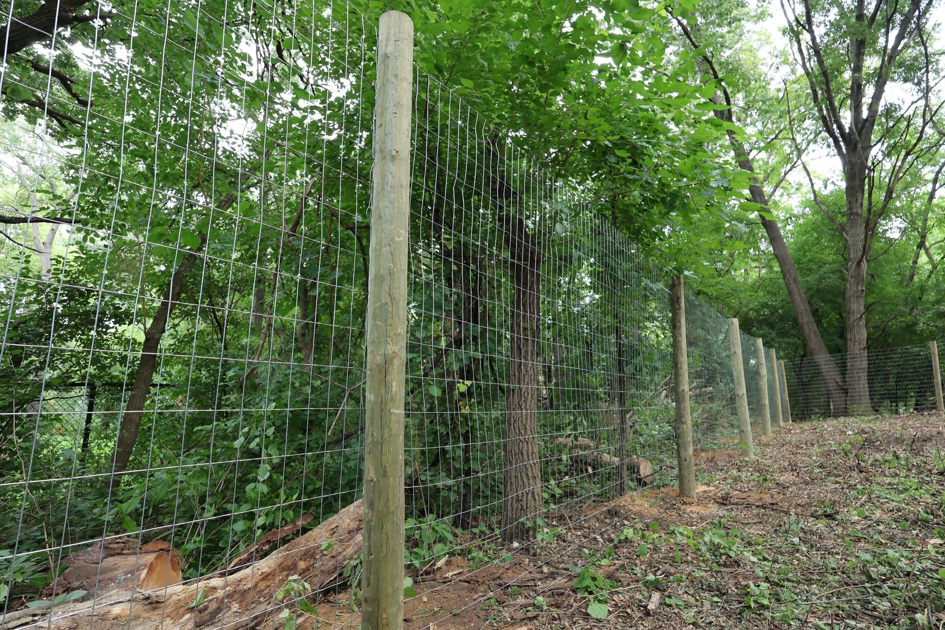 deer fence installation Illinois