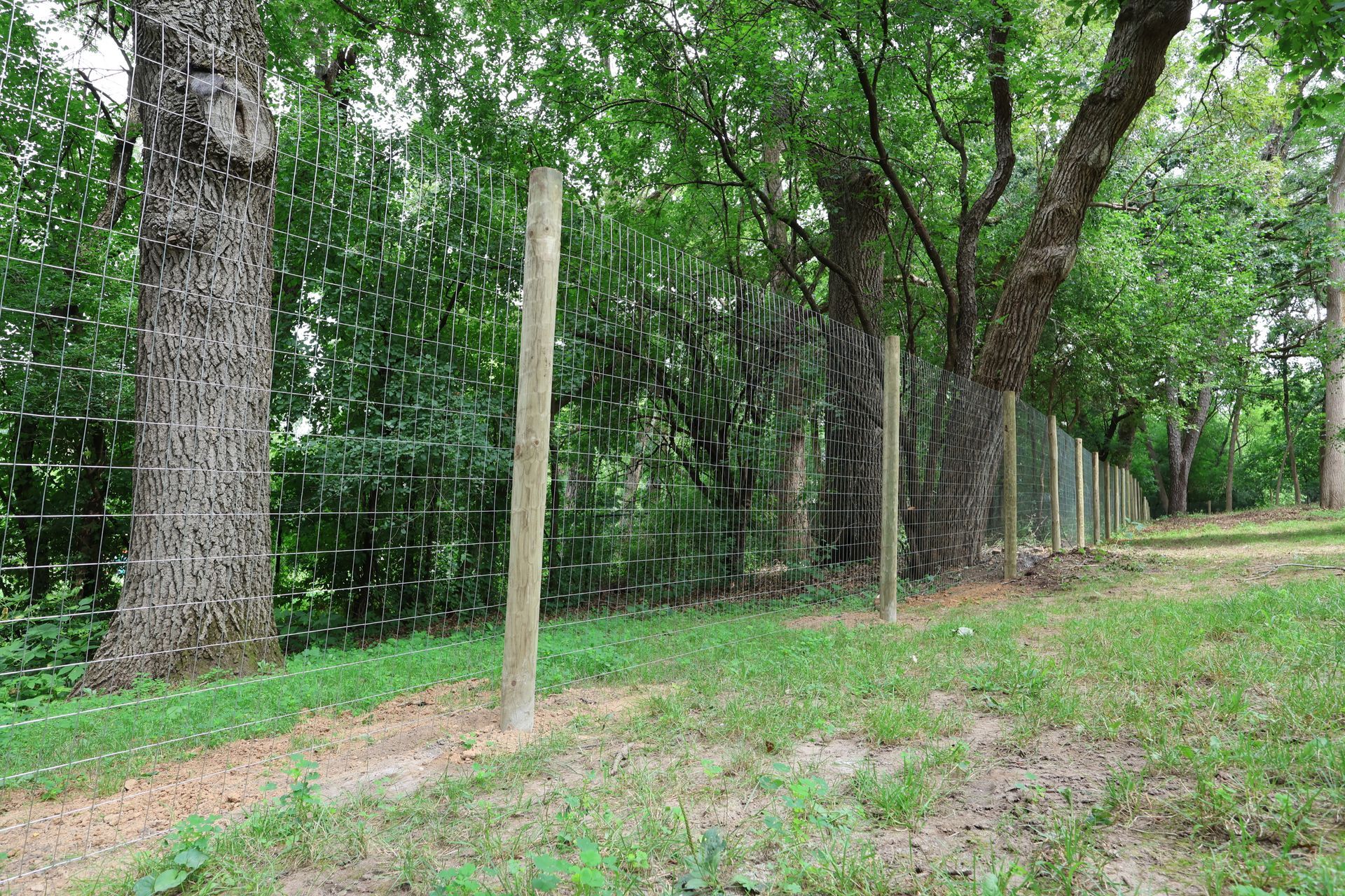 deer fence installation Illinois