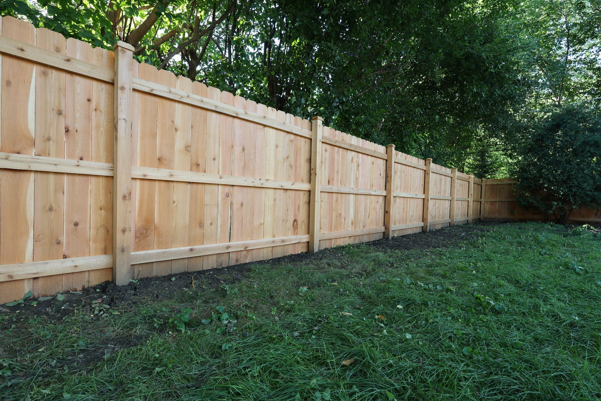 cedar privacy fence installation Illinois