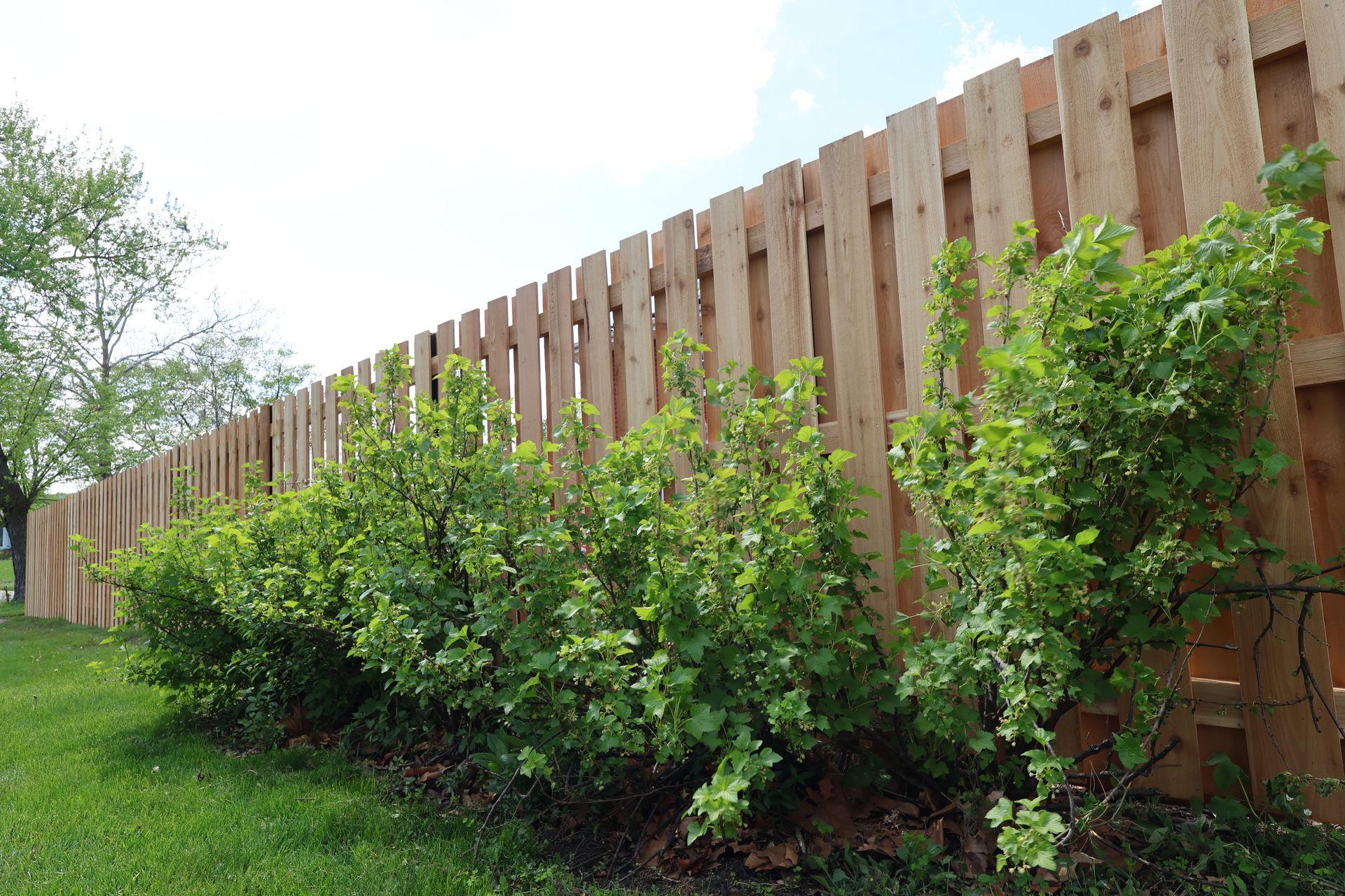 cedar fence installation Illinois