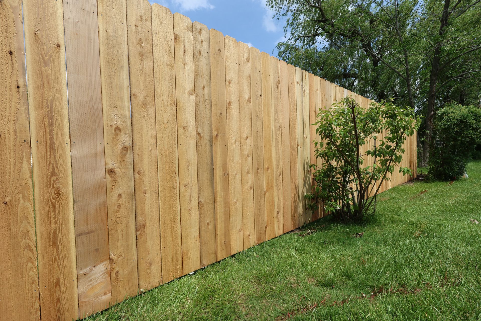 cedar fence installation Illinois