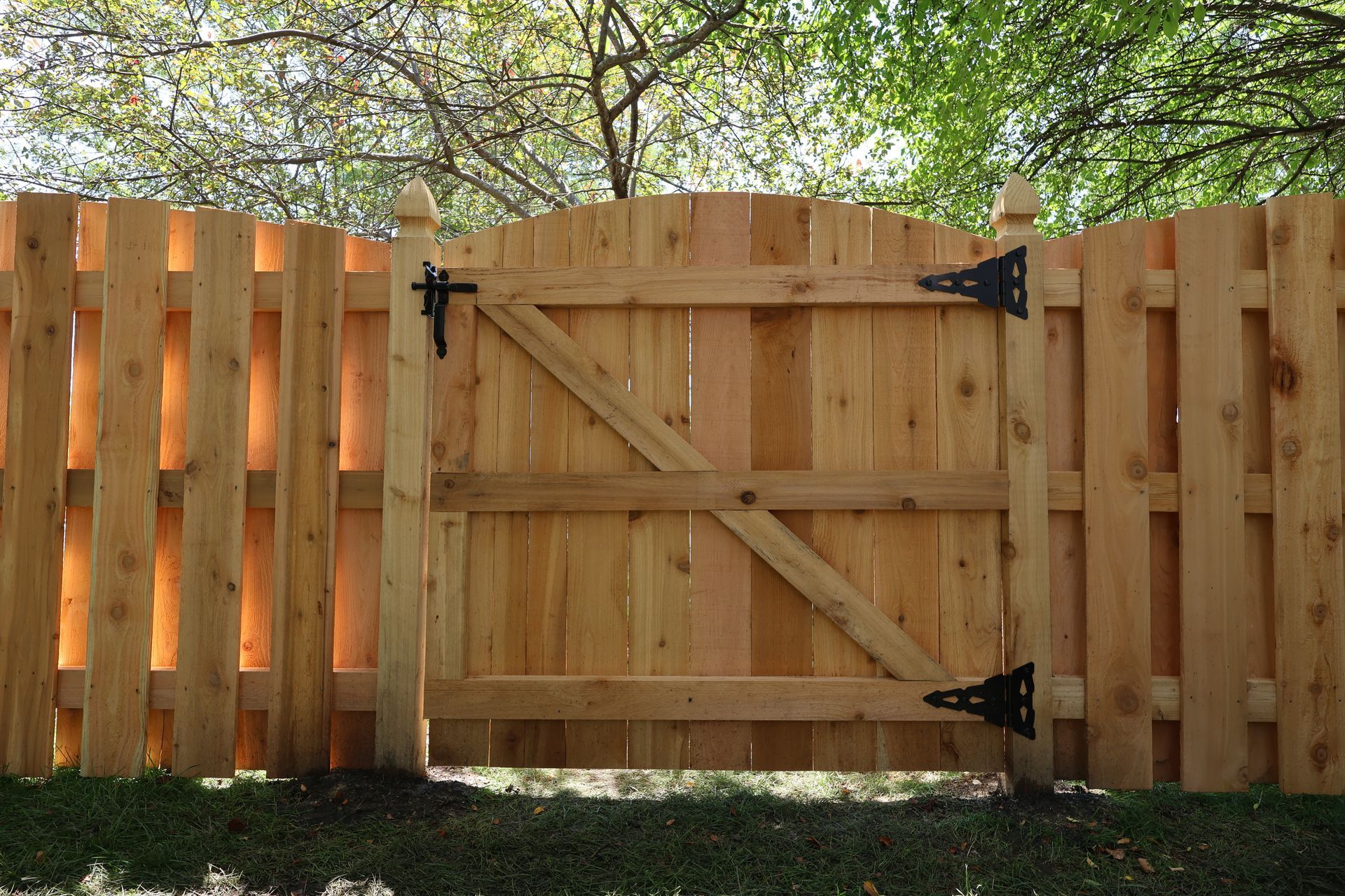 cedar fence installation Illinois