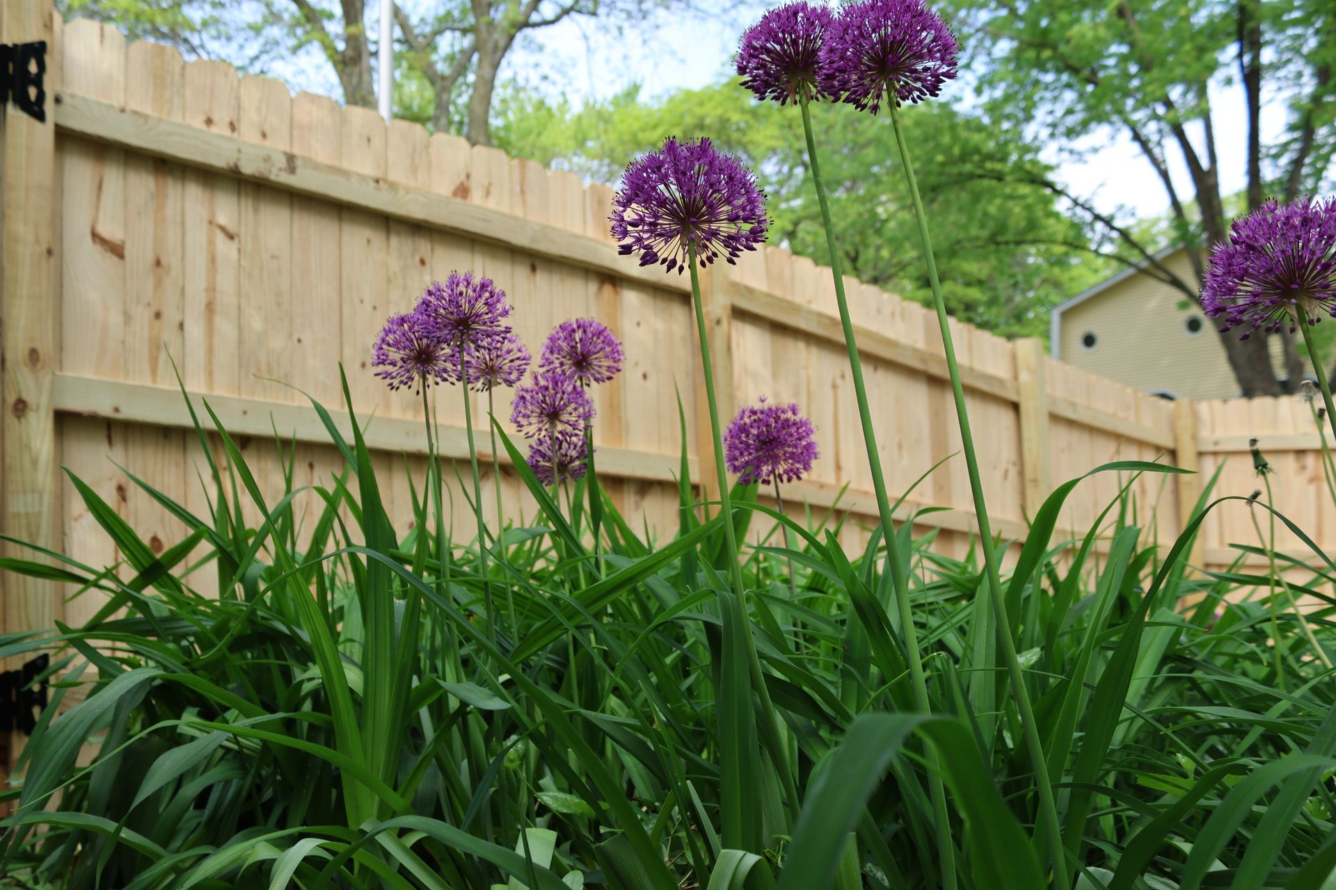 pressure treated pine fence installation illinois privacy fence