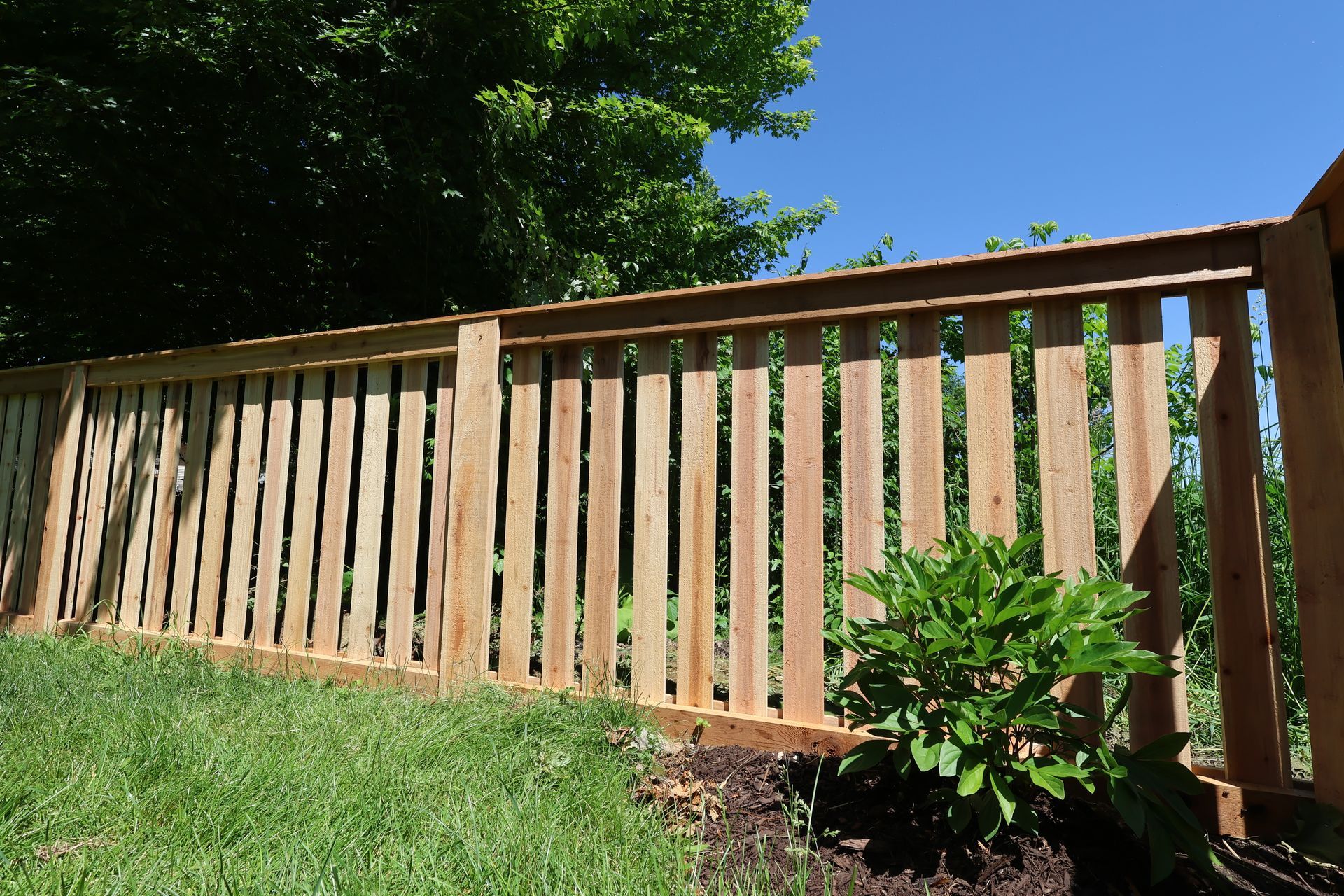 cedar fence company illinois