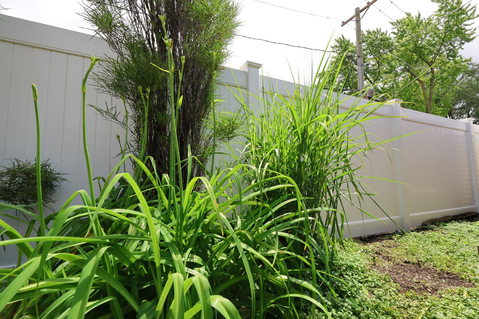 vinyl fence company Illinois