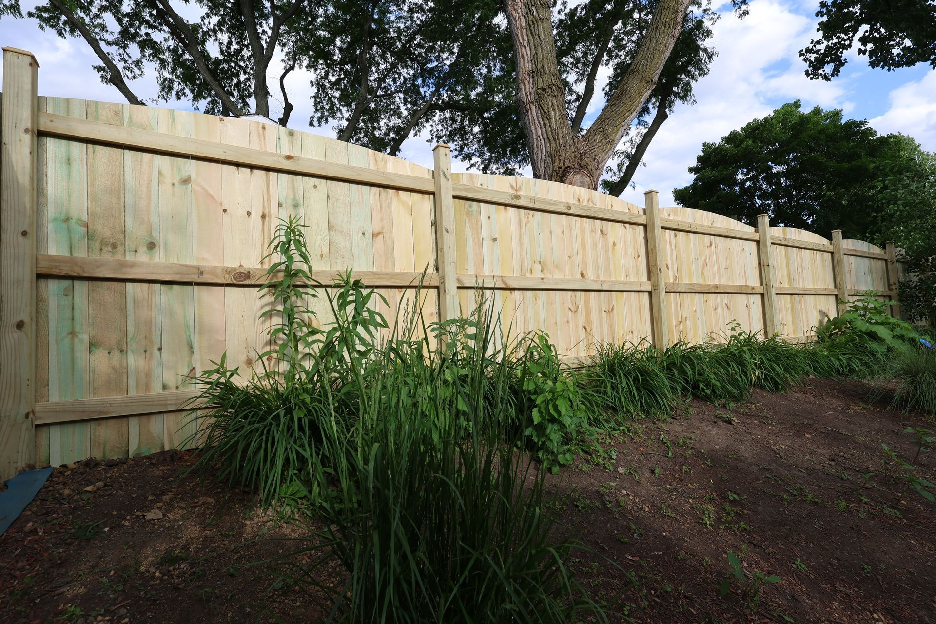 treated pine privacy fence illinois