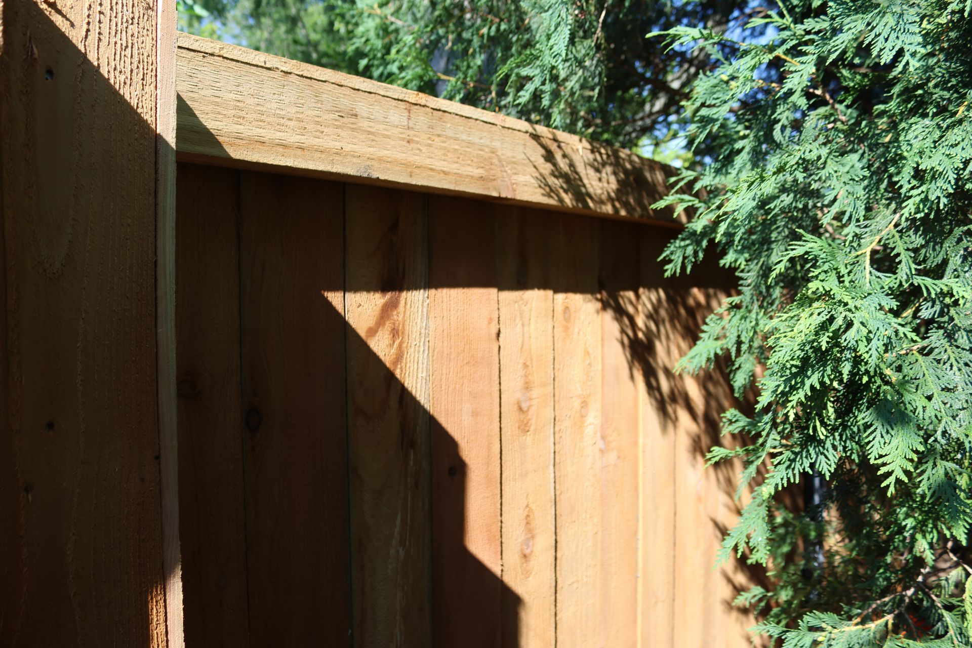 A close up of a wooden fence with trees in the background.