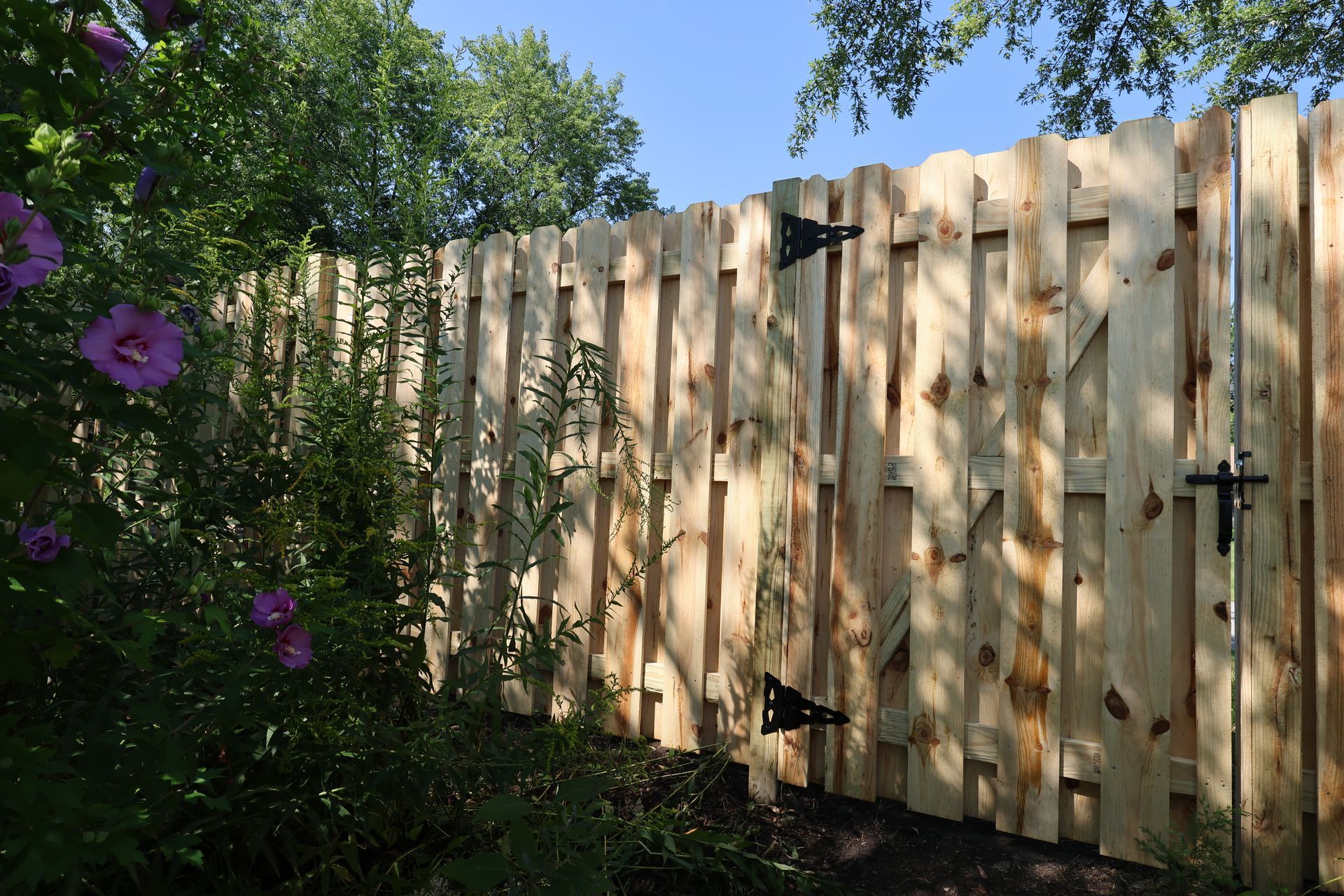 A wooden fence with purple flowers in the background