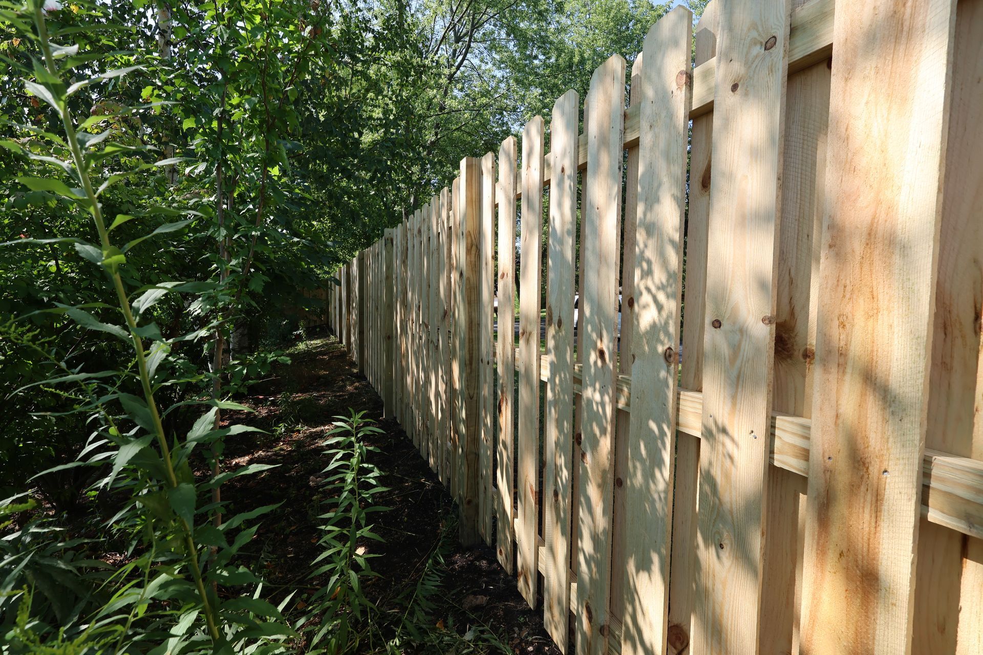 A wooden fence is surrounded by trees in a forest.