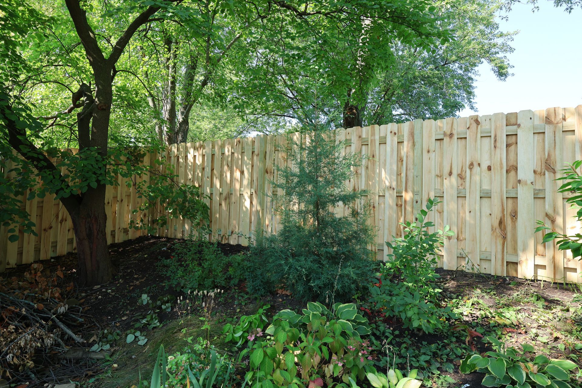 A wooden fence is surrounded by trees and bushes