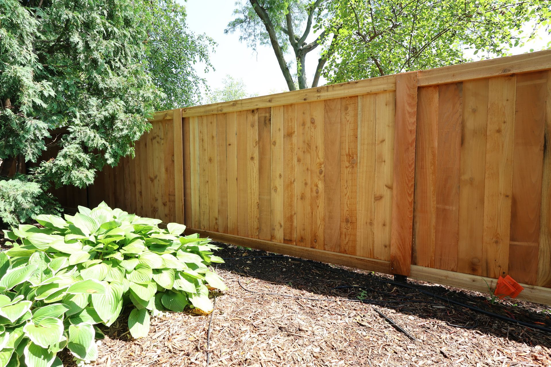 A wooden fence is surrounded by trees and plants in a backyard.
