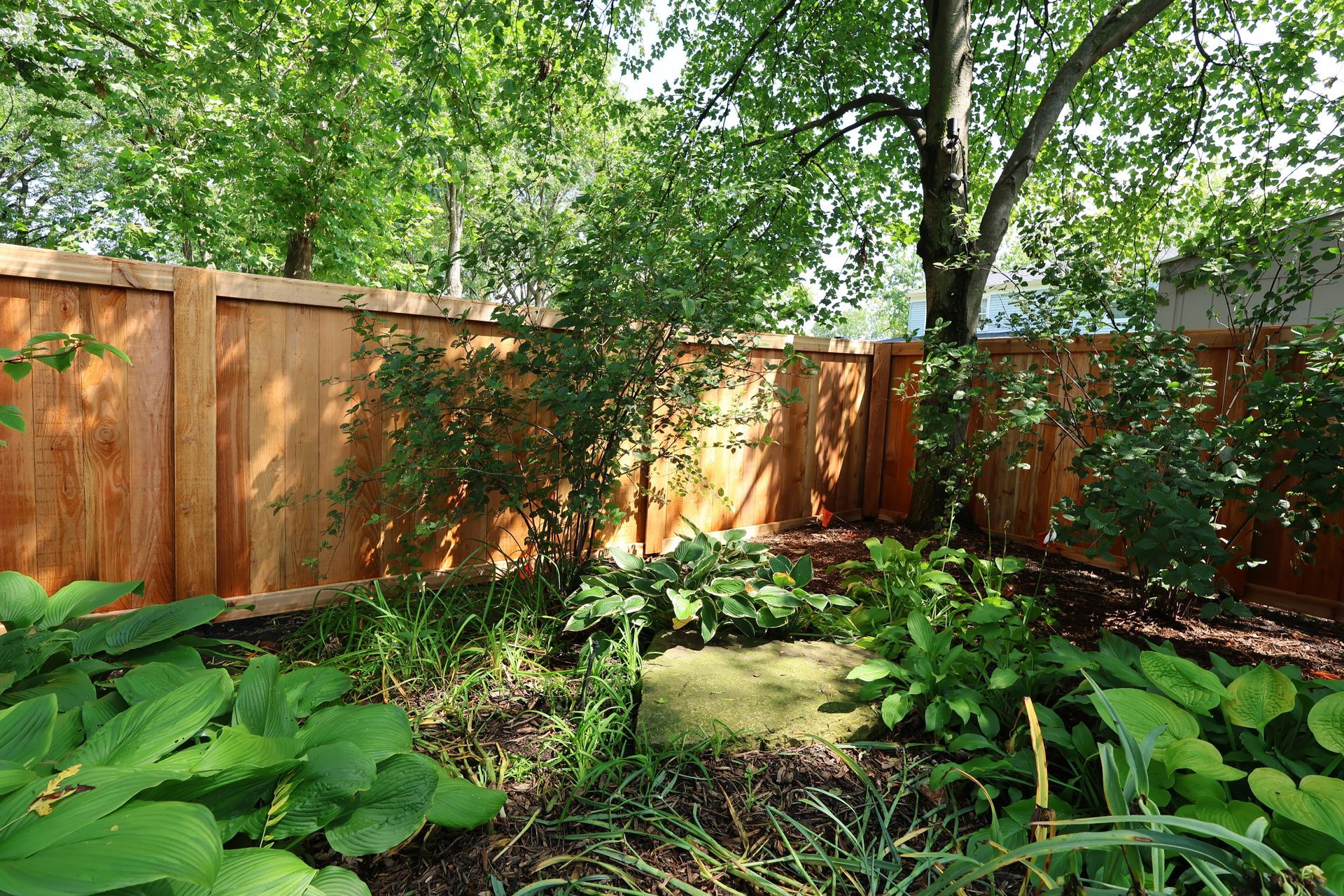 A wooden fence in a backyard surrounded by trees and plants.