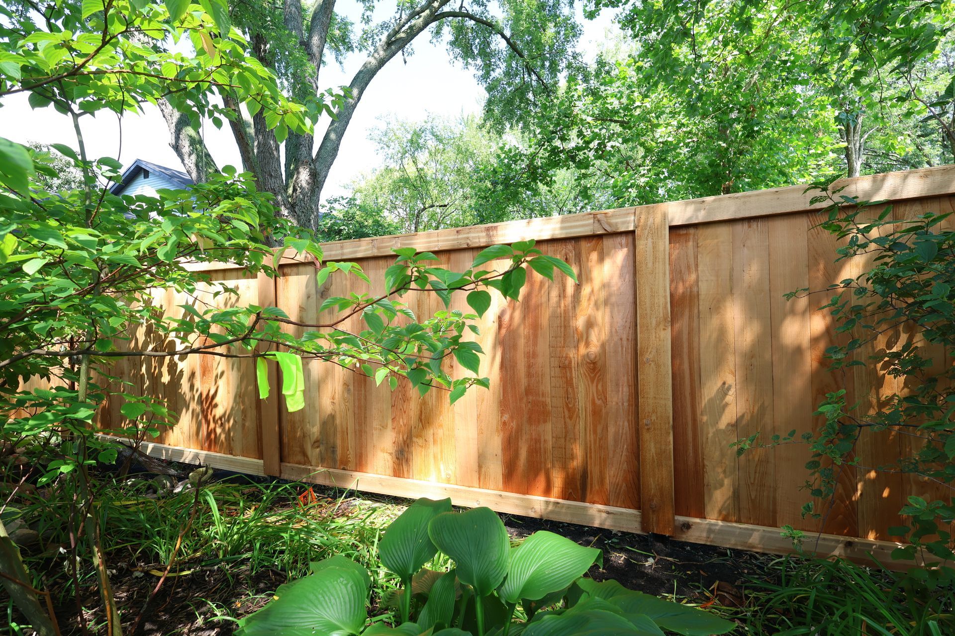 A wooden fence is surrounded by trees and bushes in a backyard.