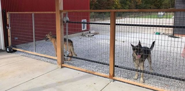 Comprehensive Guide to Dog Run Fence Installation in Illinois