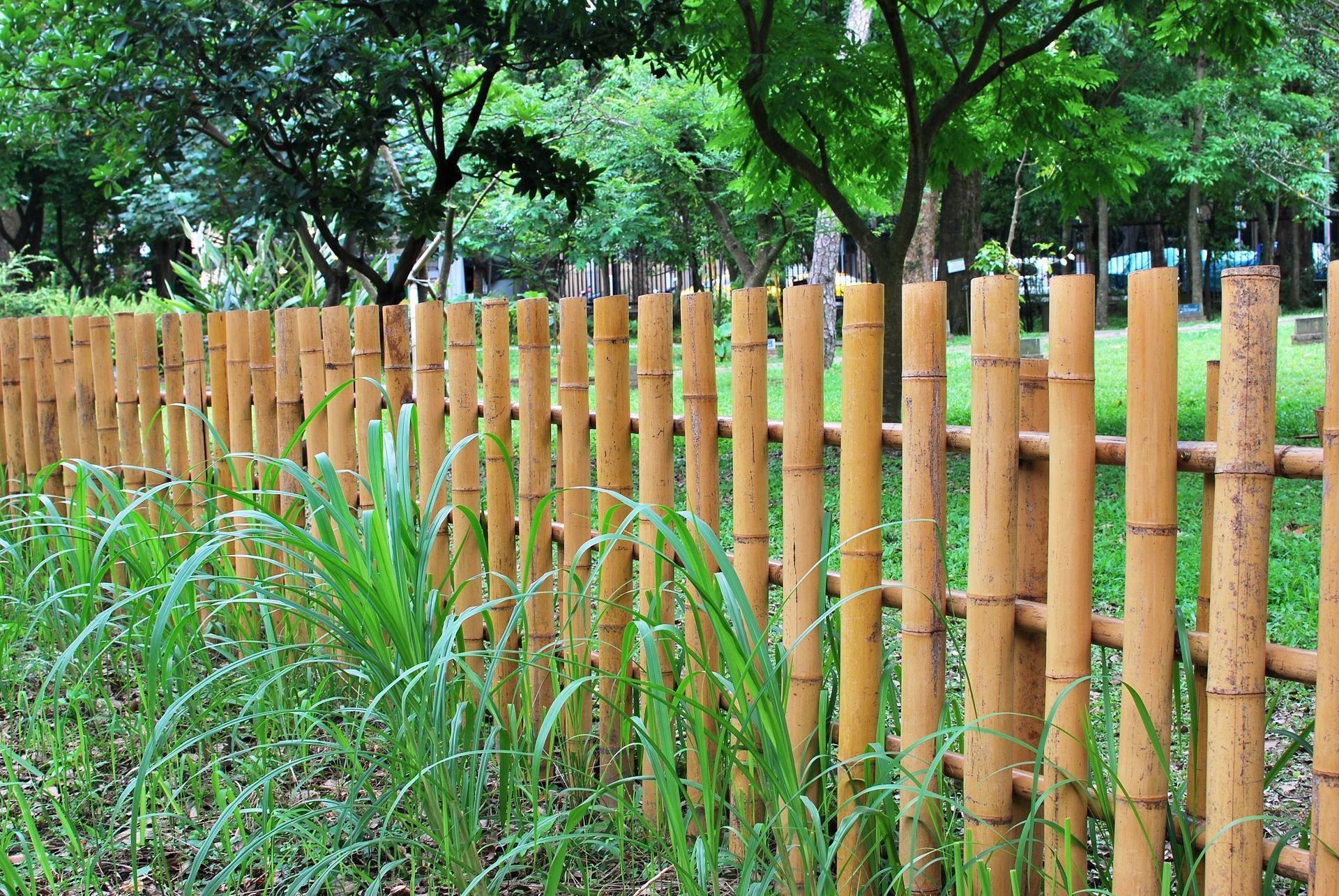 fence trends 2024 bamboo fence