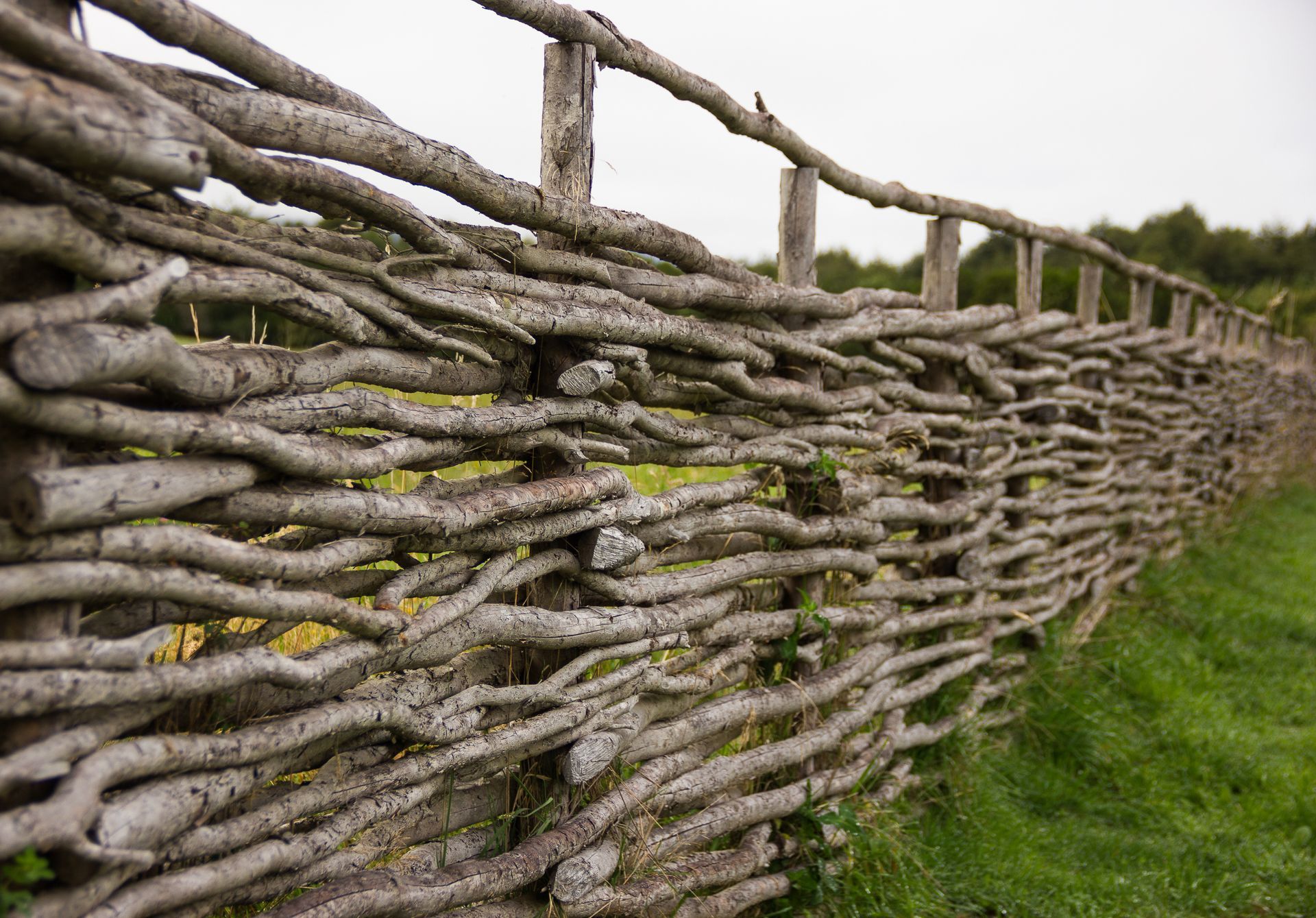 Ancient fence installation types history of fencing