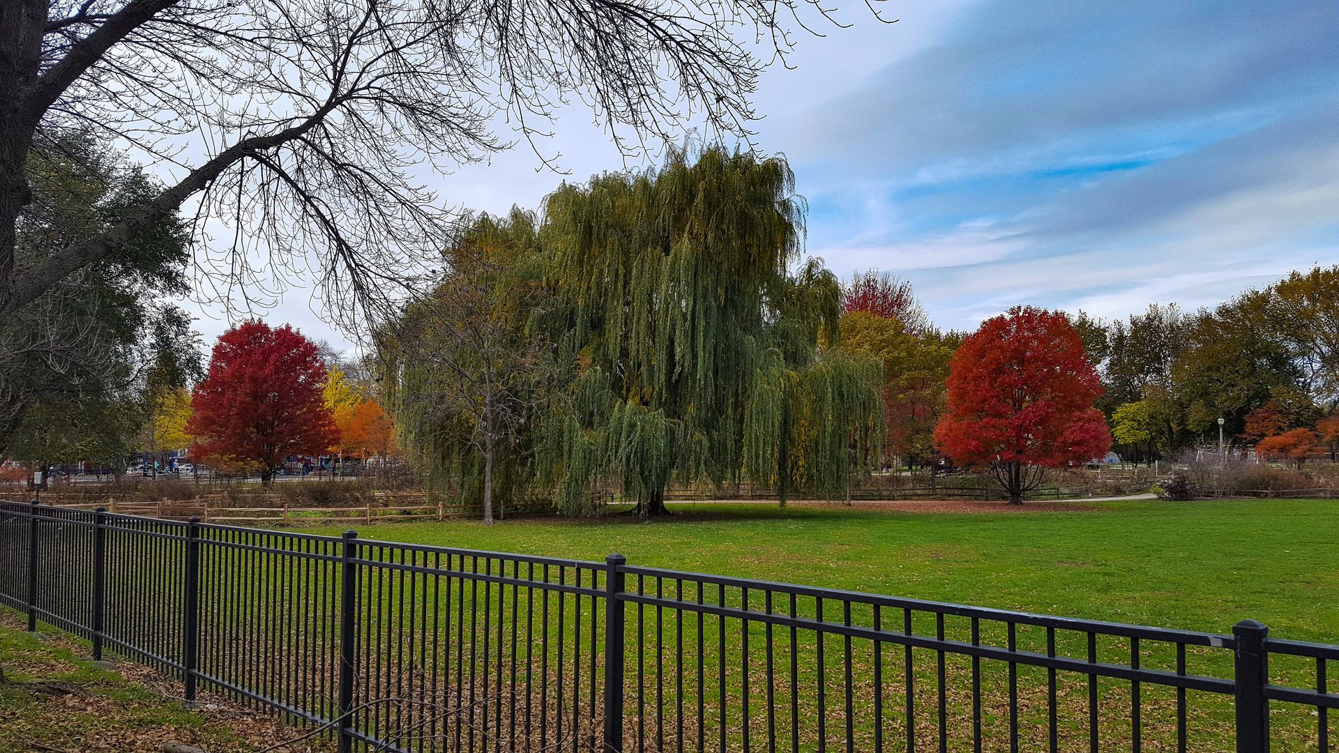 Fence Company In Franklin Park IL | Trusted Local Fence Company