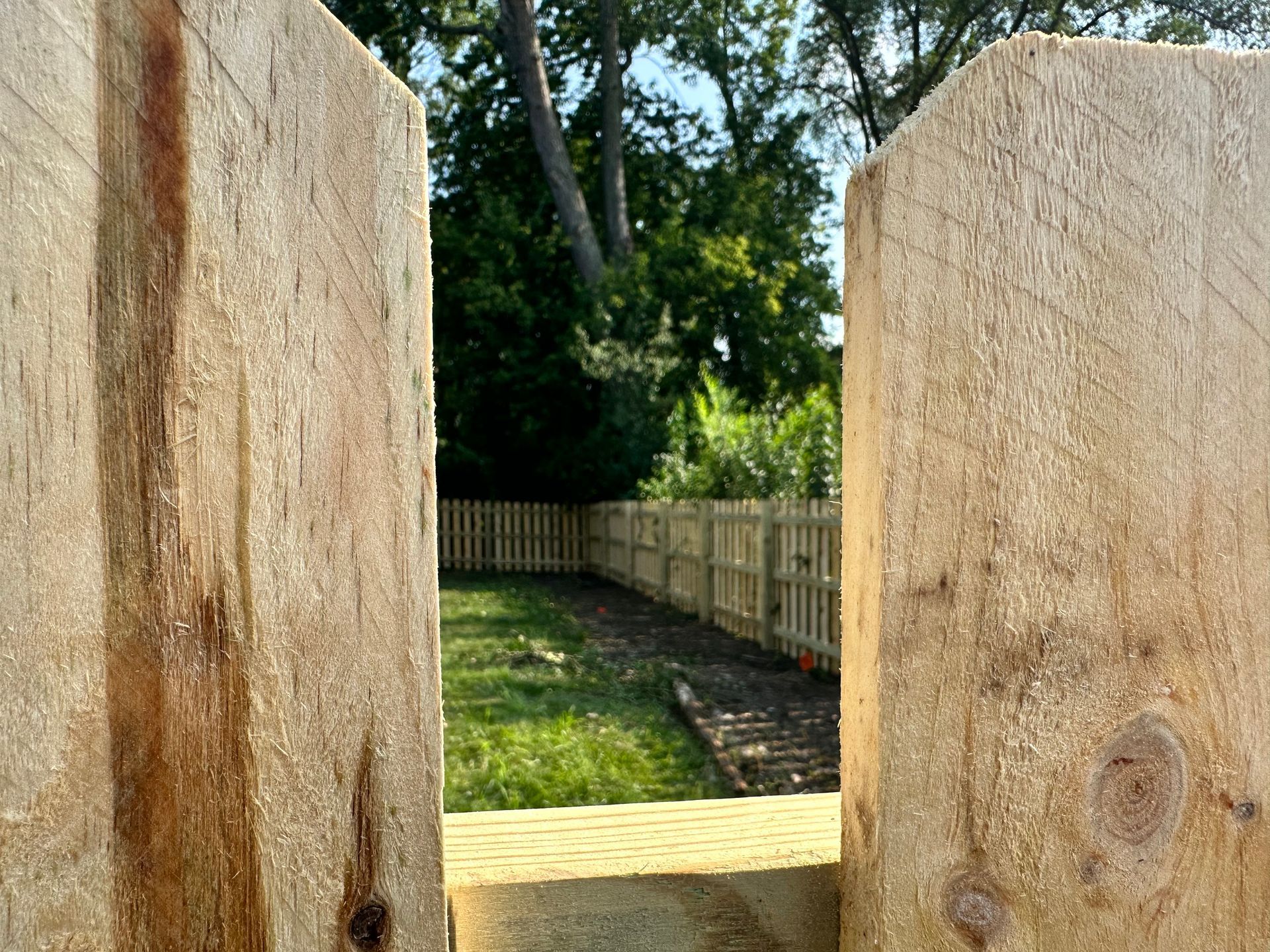 A wooden fence is being built in a backyard with trees in the background.