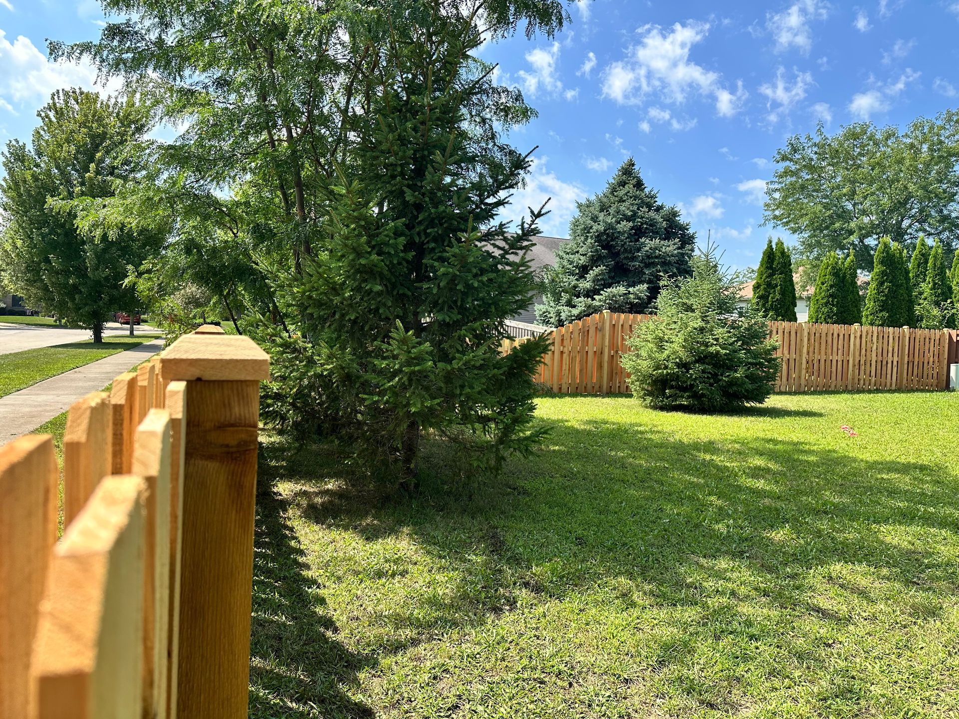 cedar fence installation Illinois