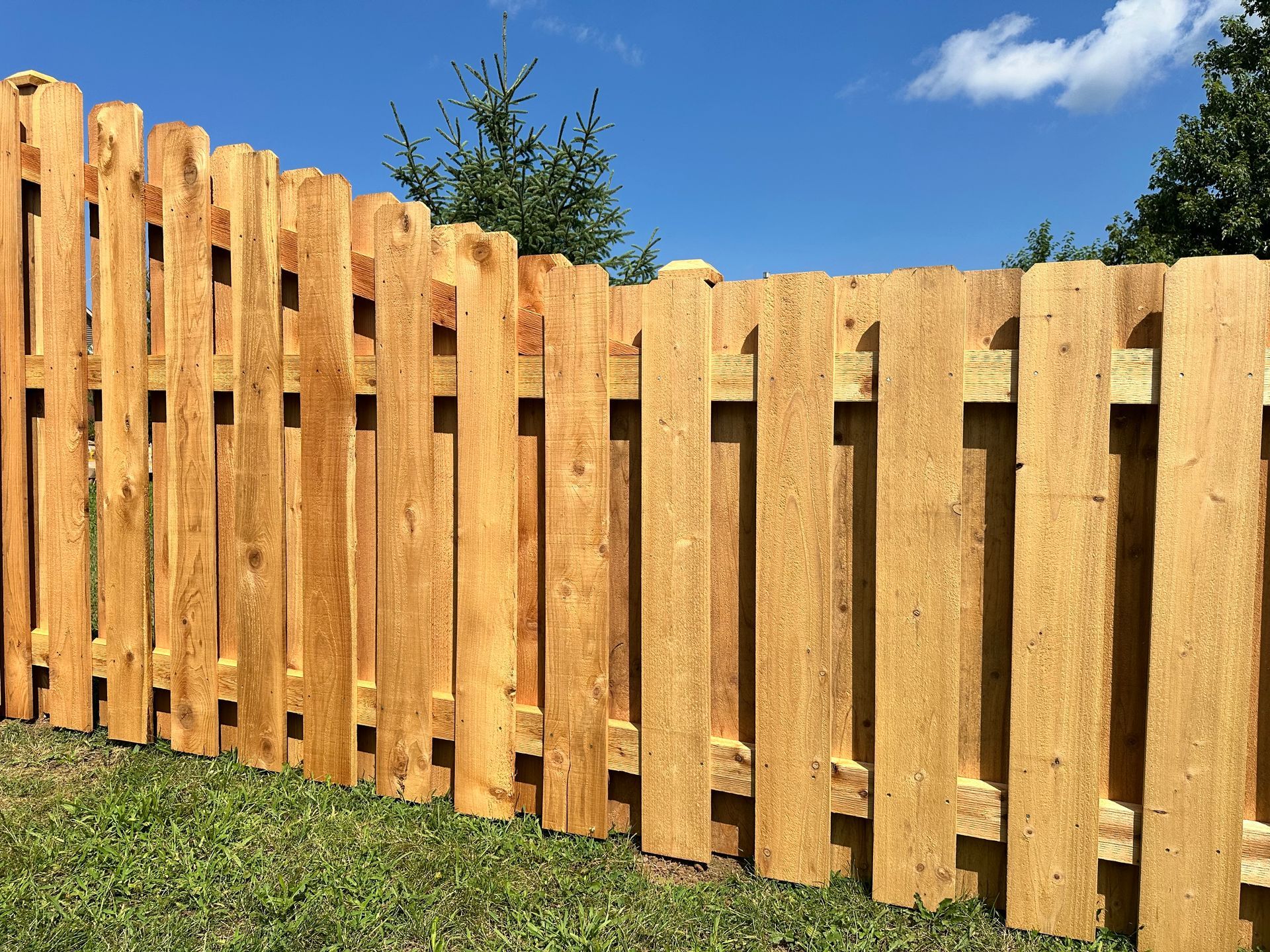 cedar fence installation Illinois