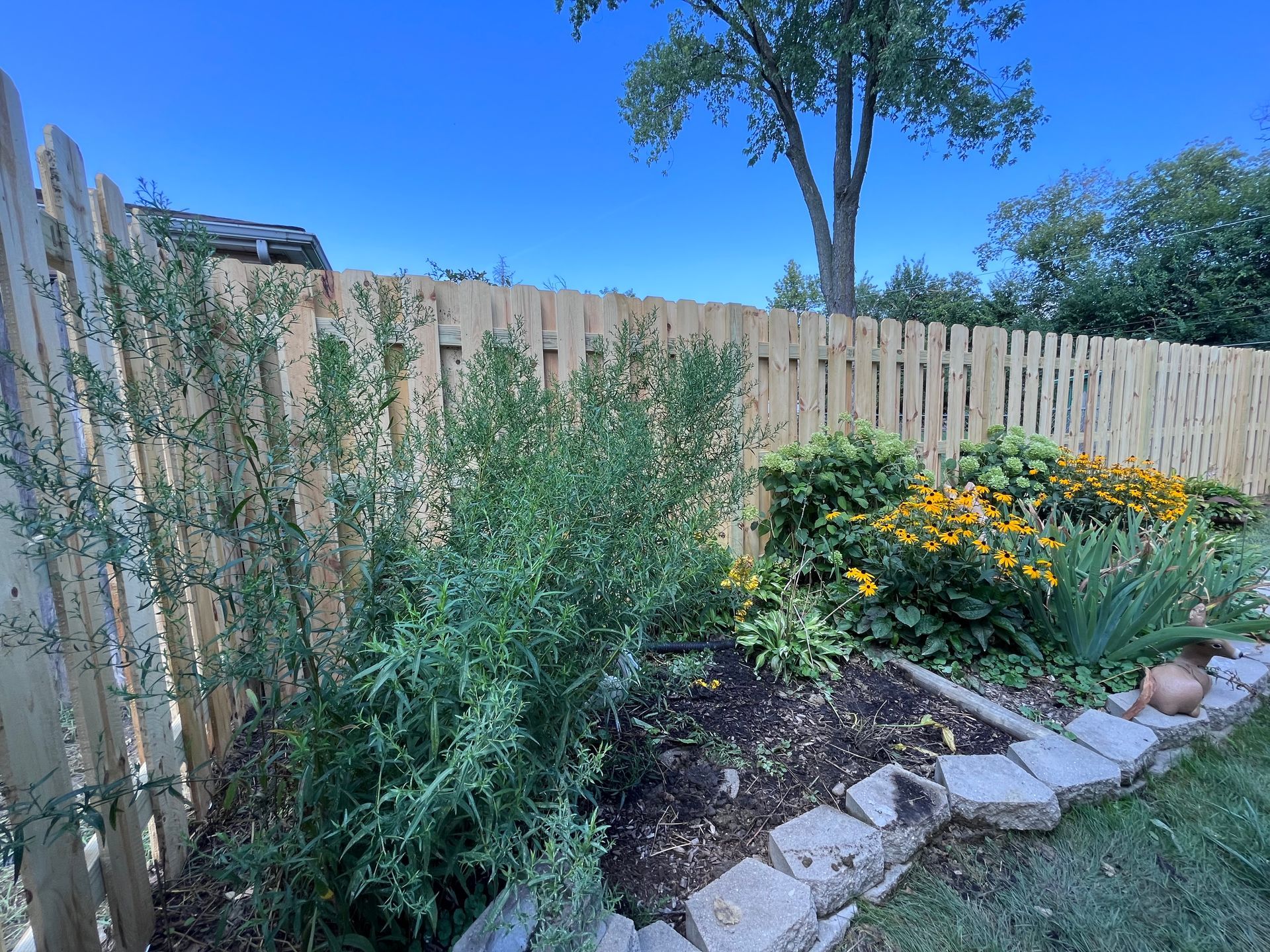 pressure treated pine fence installation illinois
