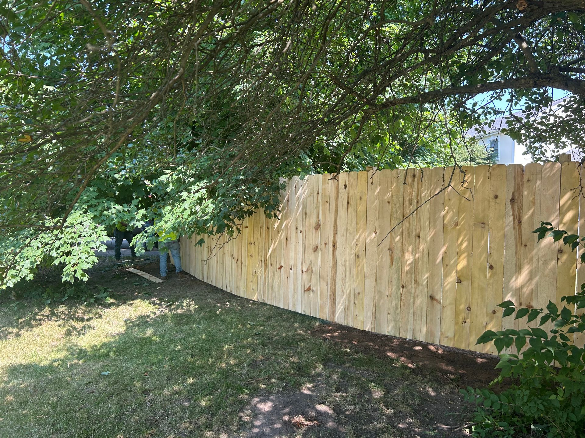 treated pine fence installation illinois
