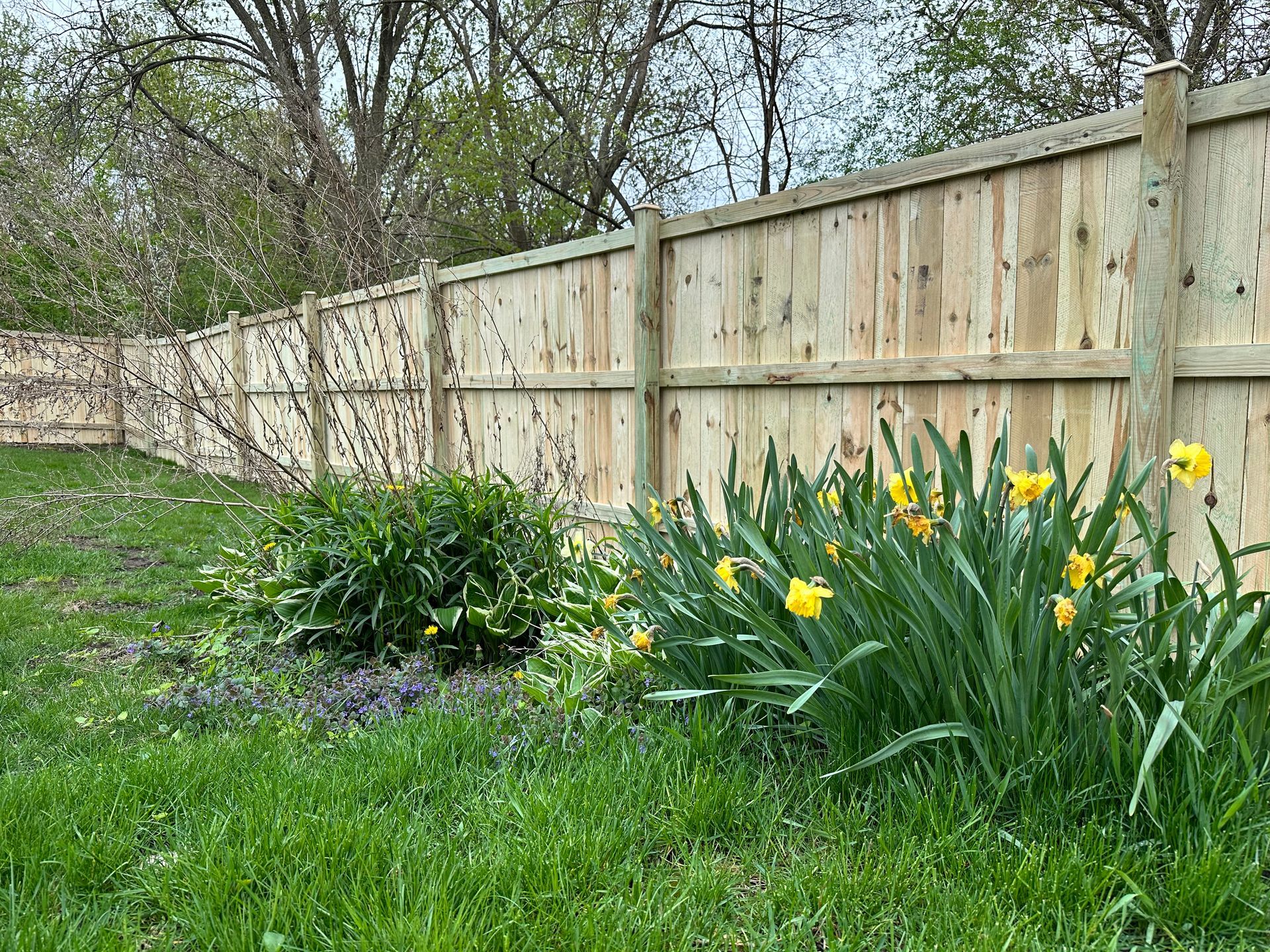 treated pine fence installation Illinois