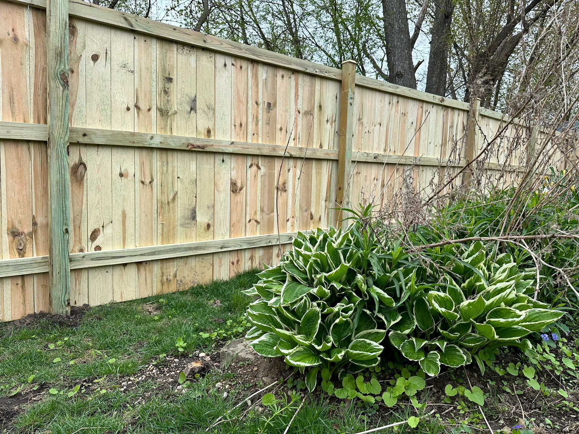 treated pine fence installation Illinois