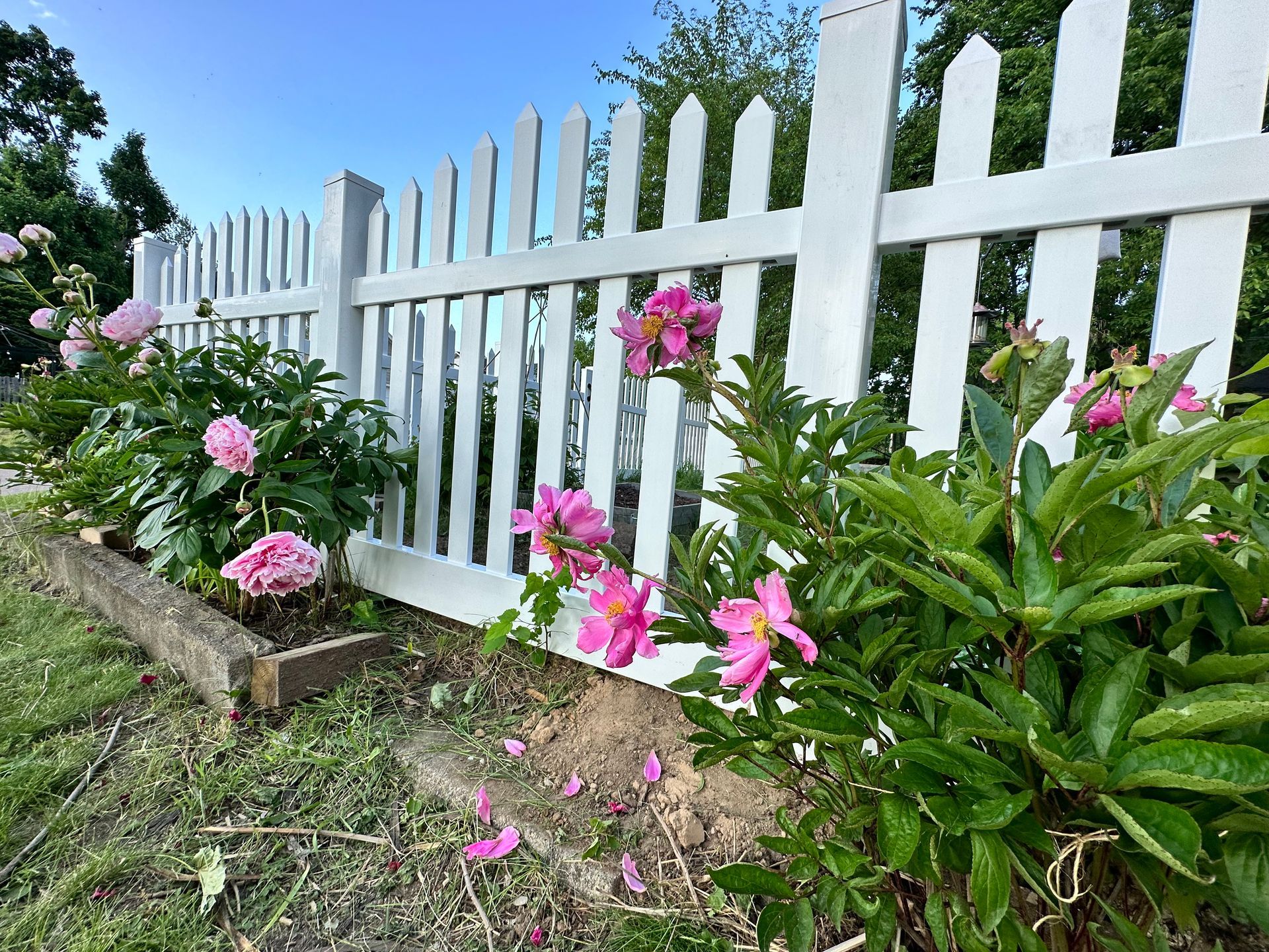 garden fence installation Illinois