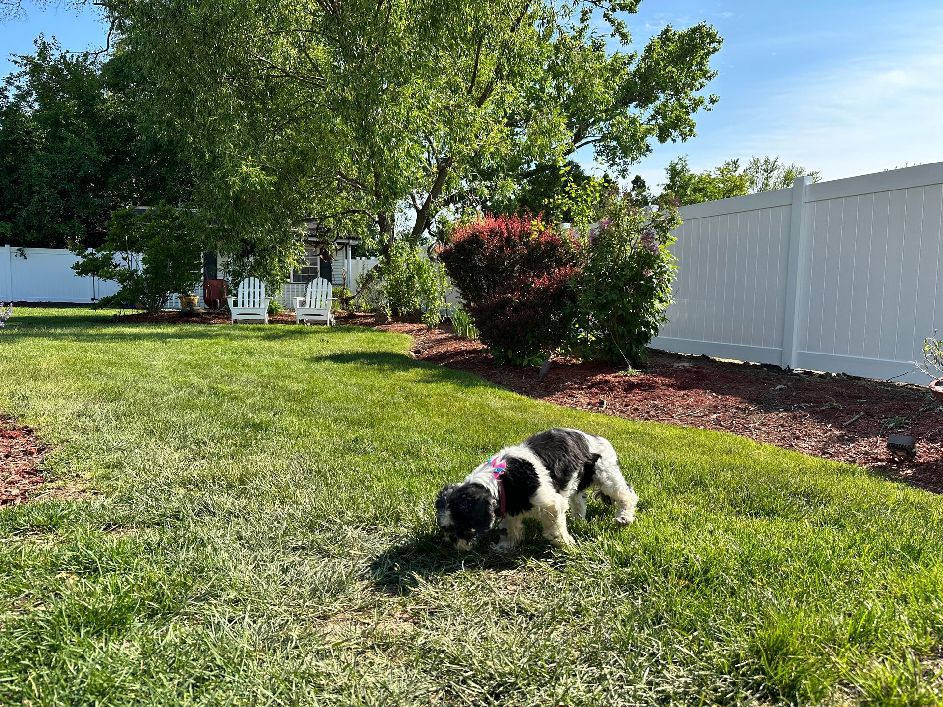 dog fence installation Illinois