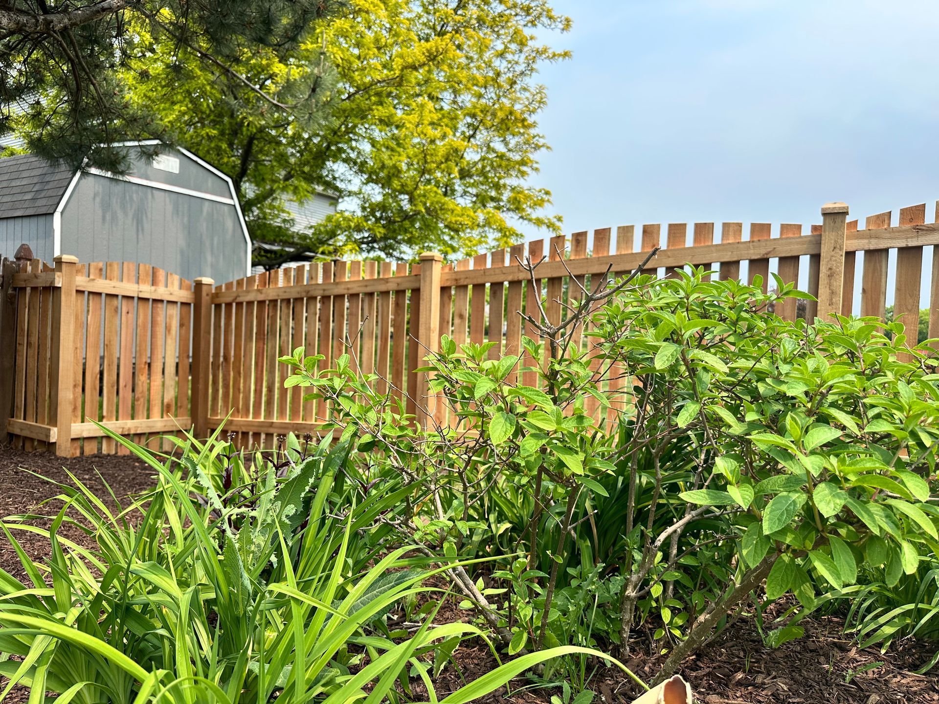 cedar fence installation Illinois