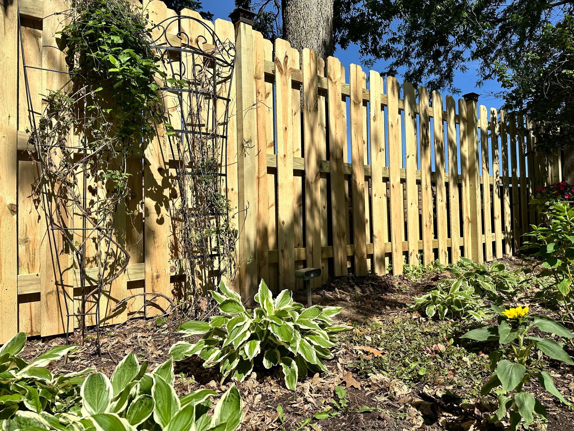 treated pine wood fence installation Illinois