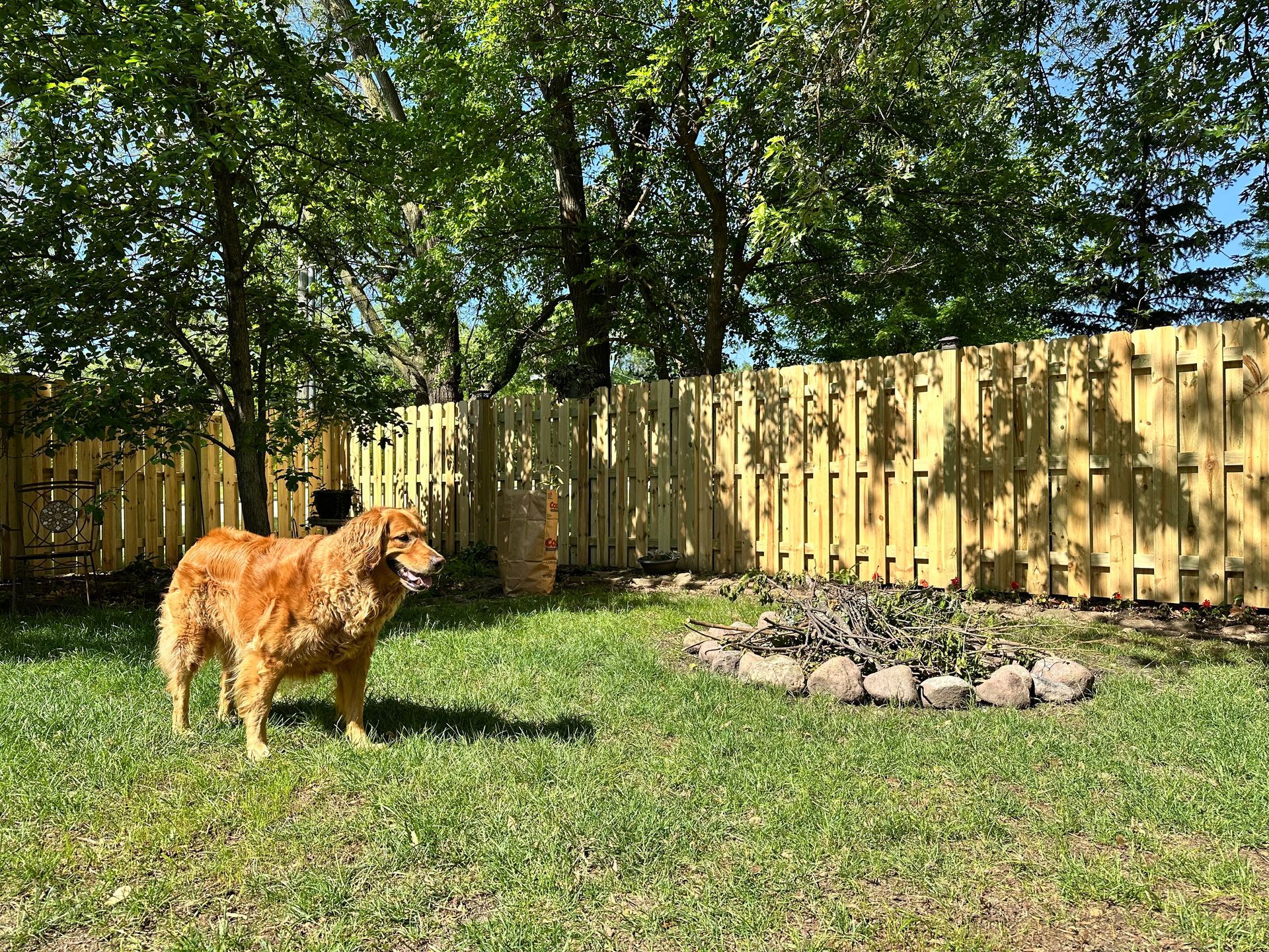 dog fence installation